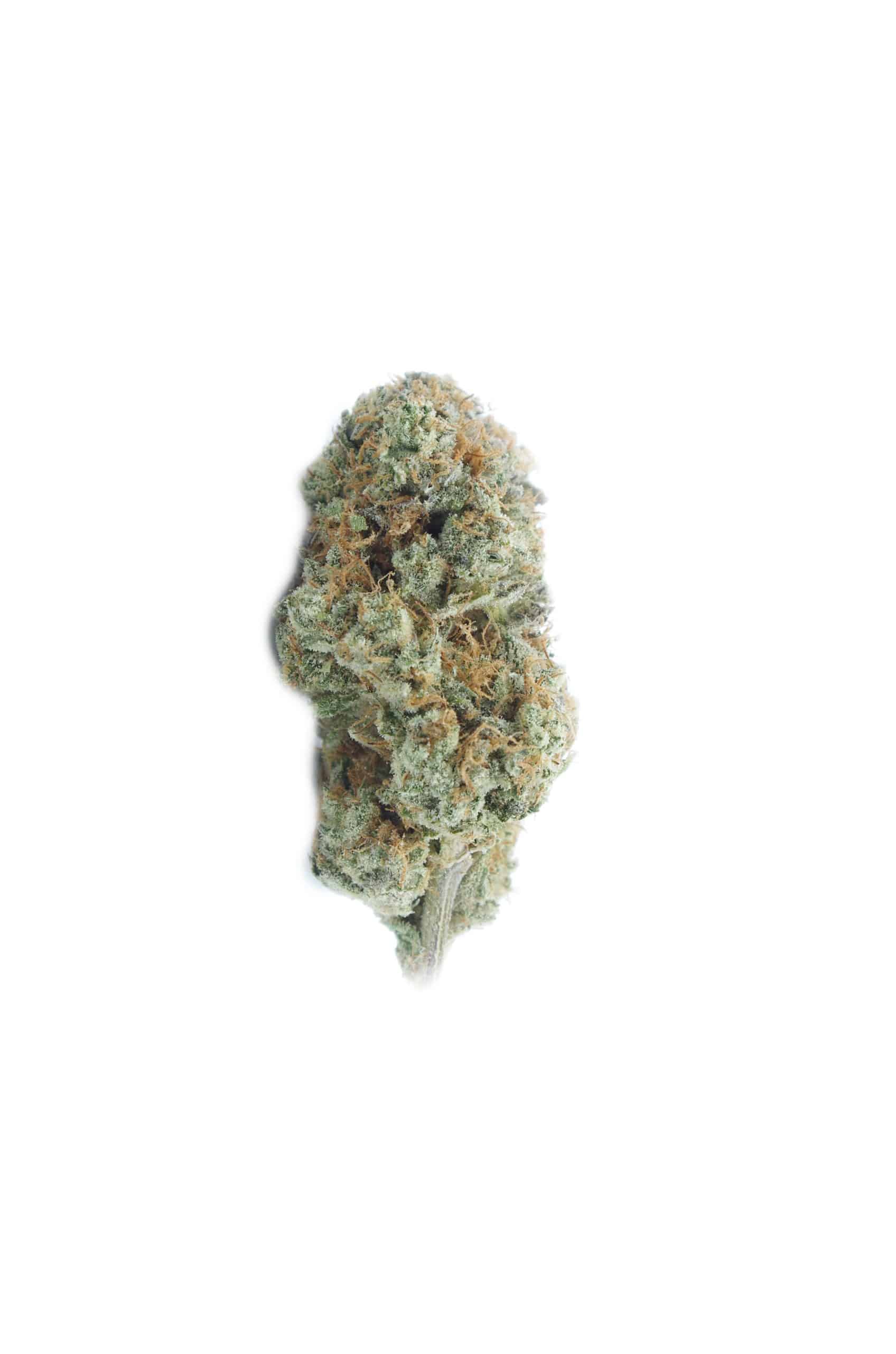 Slurries (LSO) Oz Special Hybrid anti-anxiety Slurries (LSO) Oz Special Hybrid anti-anxiety