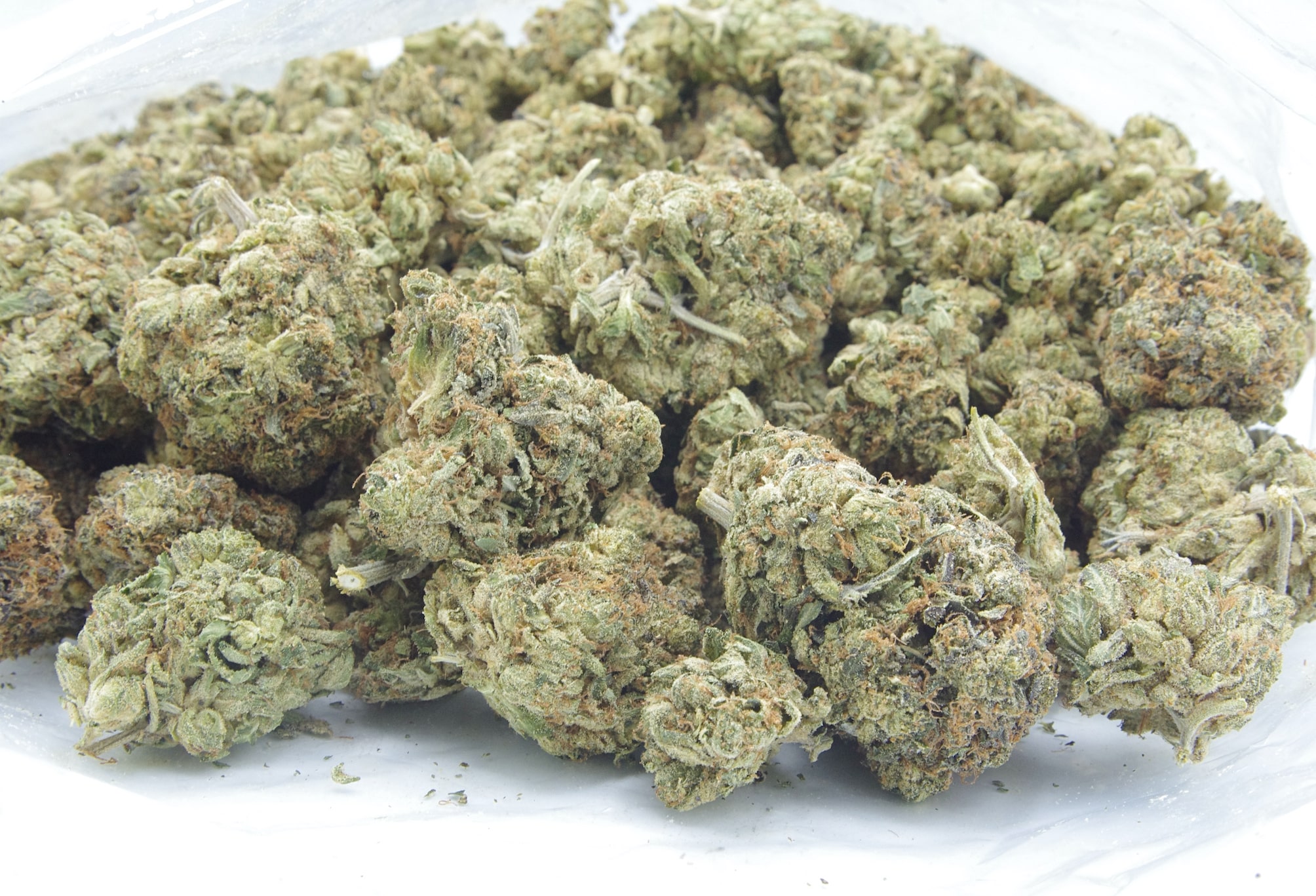 Sour Bubble (Oz Special) Indica anxiety Sour Bubble (Oz Special) Indica anxiety