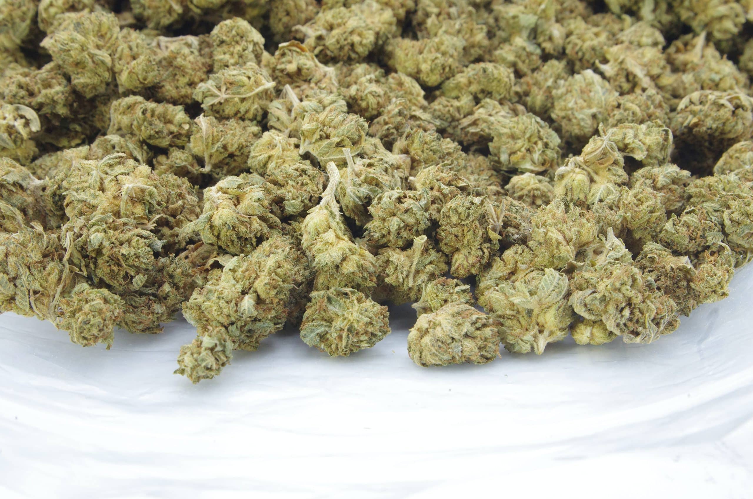 Sour Kush Smalls (Oz Special) All Strains anxiety Sour Kush Smalls (Oz Special) All Strains anxiety