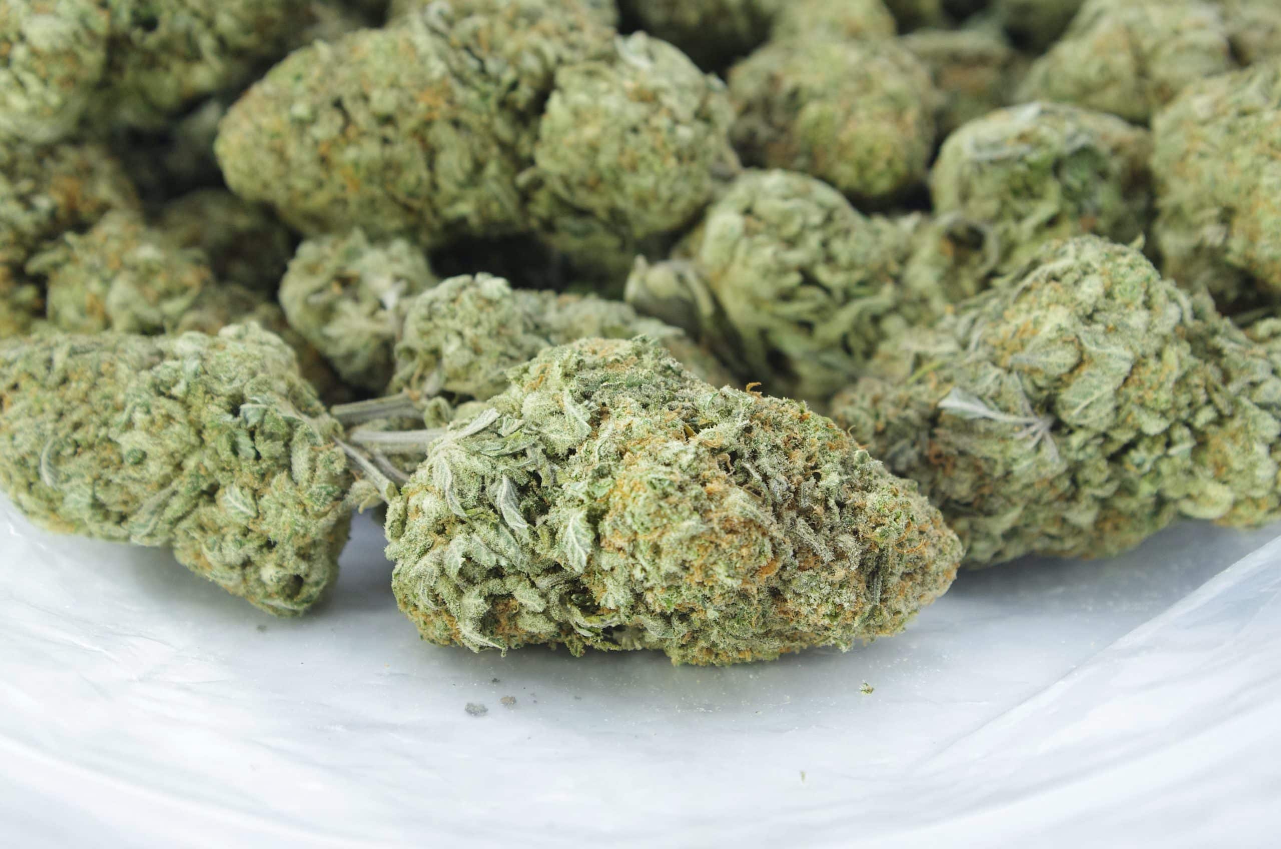 Lemon Sour Diesel (Oz Special) All Strains Lemon Sour Diesel (Oz Special) All Strains