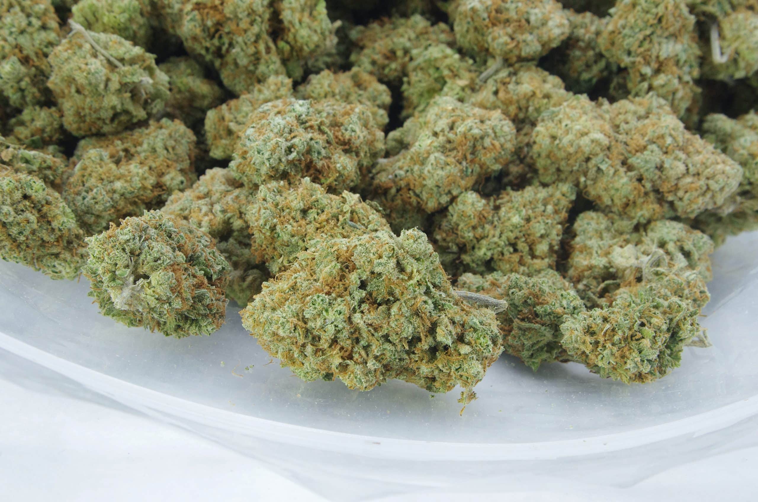Sour OG (Oz Special) Hybrid anti-anxiety Sour OG (Oz Special) Hybrid anti-anxiety