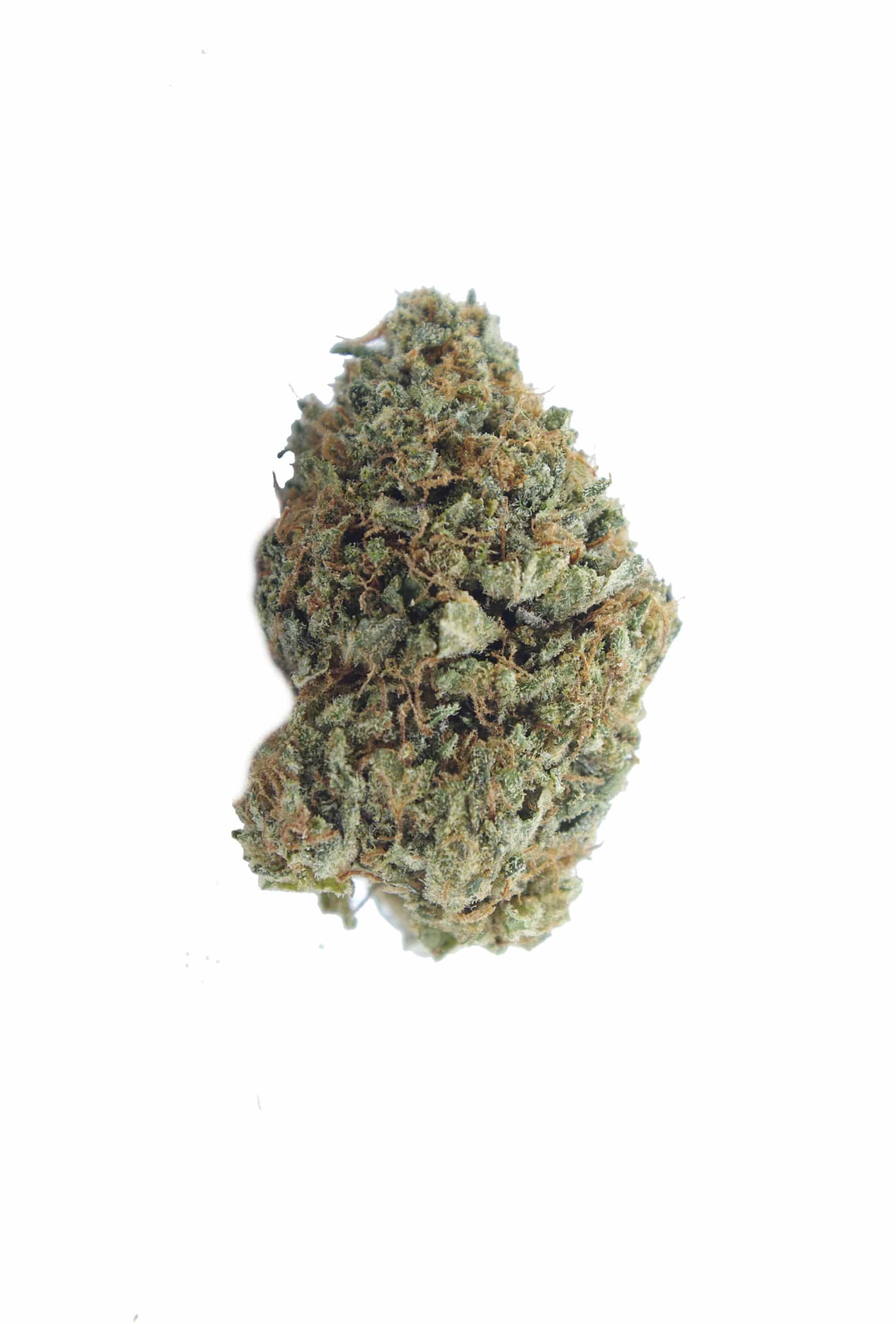 Sour OG (Oz Special) Hybrid anti-anxiety Sour OG (Oz Special) Hybrid anti-anxiety