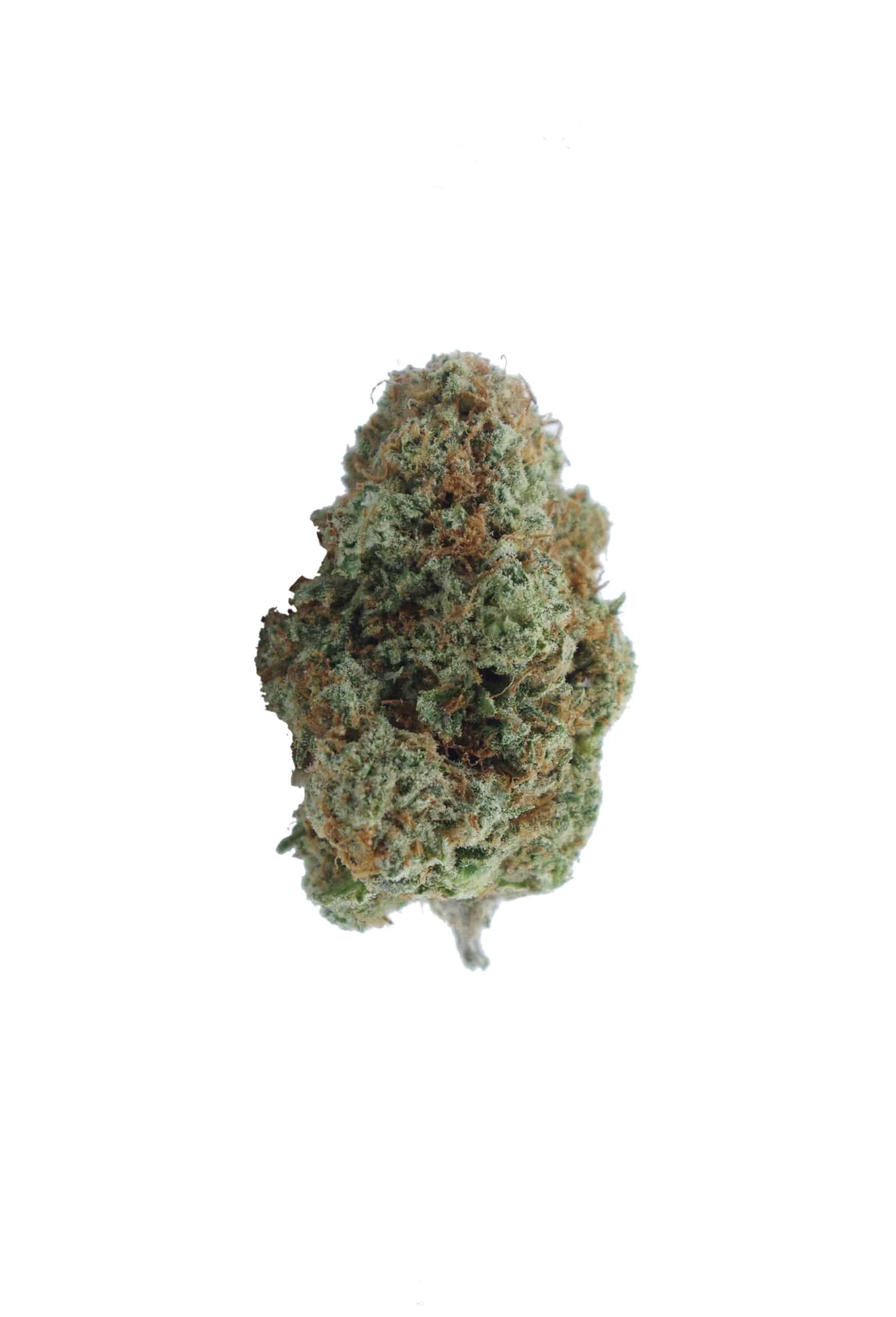 Sour OG (Oz Special) Hybrid anti-anxiety Sour OG (Oz Special) Hybrid anti-anxiety