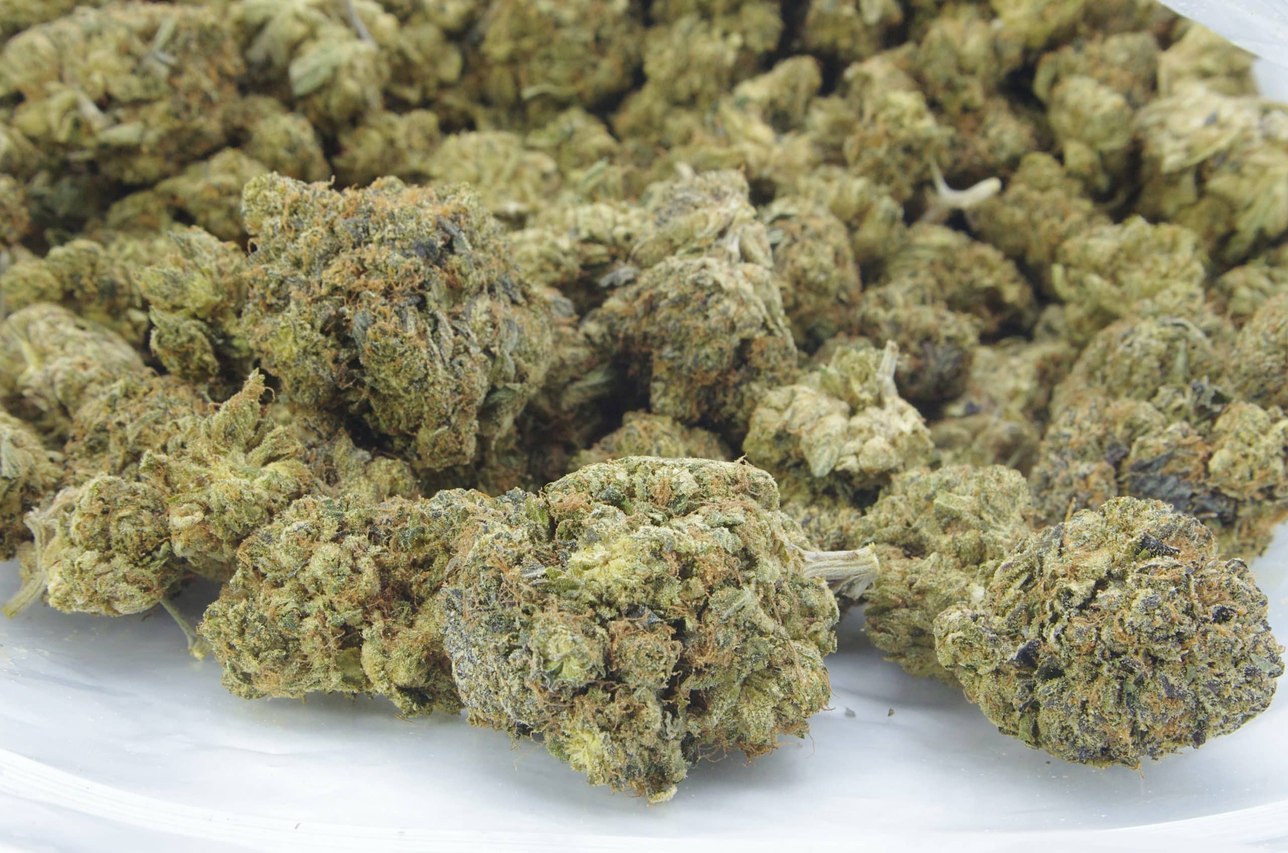 Starwalker (Oz Special) Indica anxiety Starwalker (Oz Special) Indica anxiety