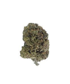 buy starwalker online