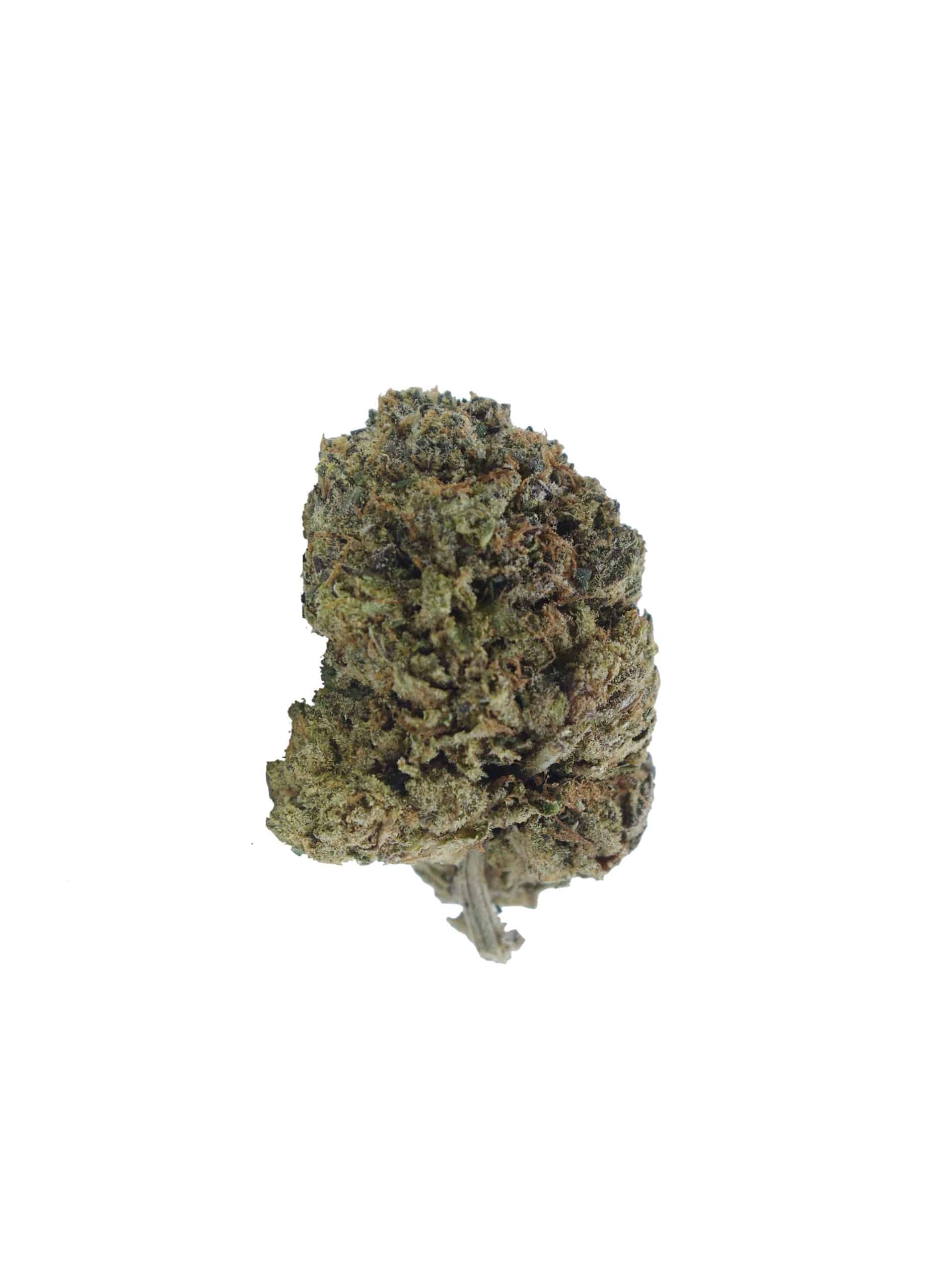 Starwalker (Oz Special) Indica anxiety Starwalker (Oz Special) Indica anxiety