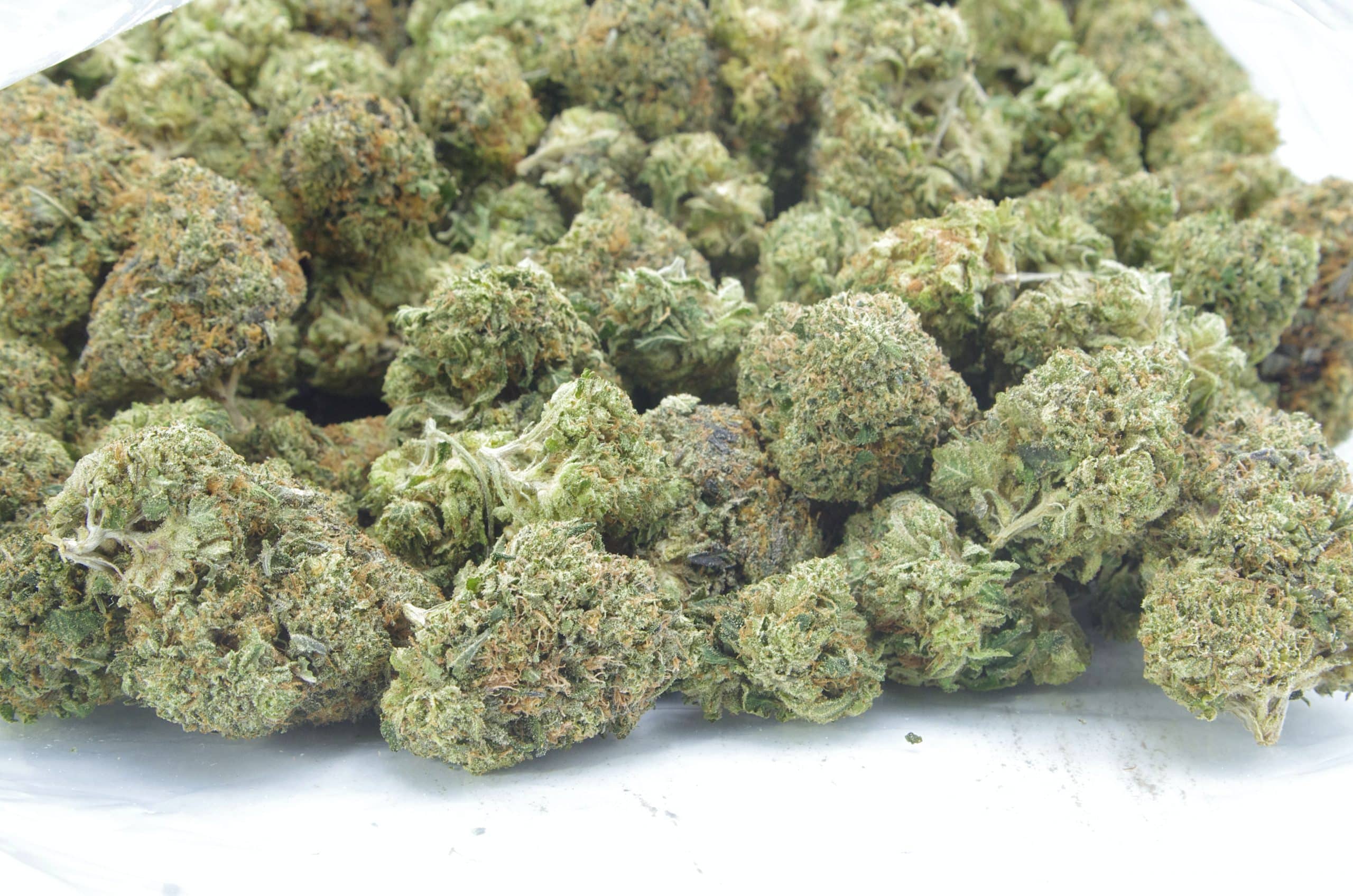 Starwalker (Oz Special) Indica anxiety Starwalker (Oz Special) Indica anxiety
