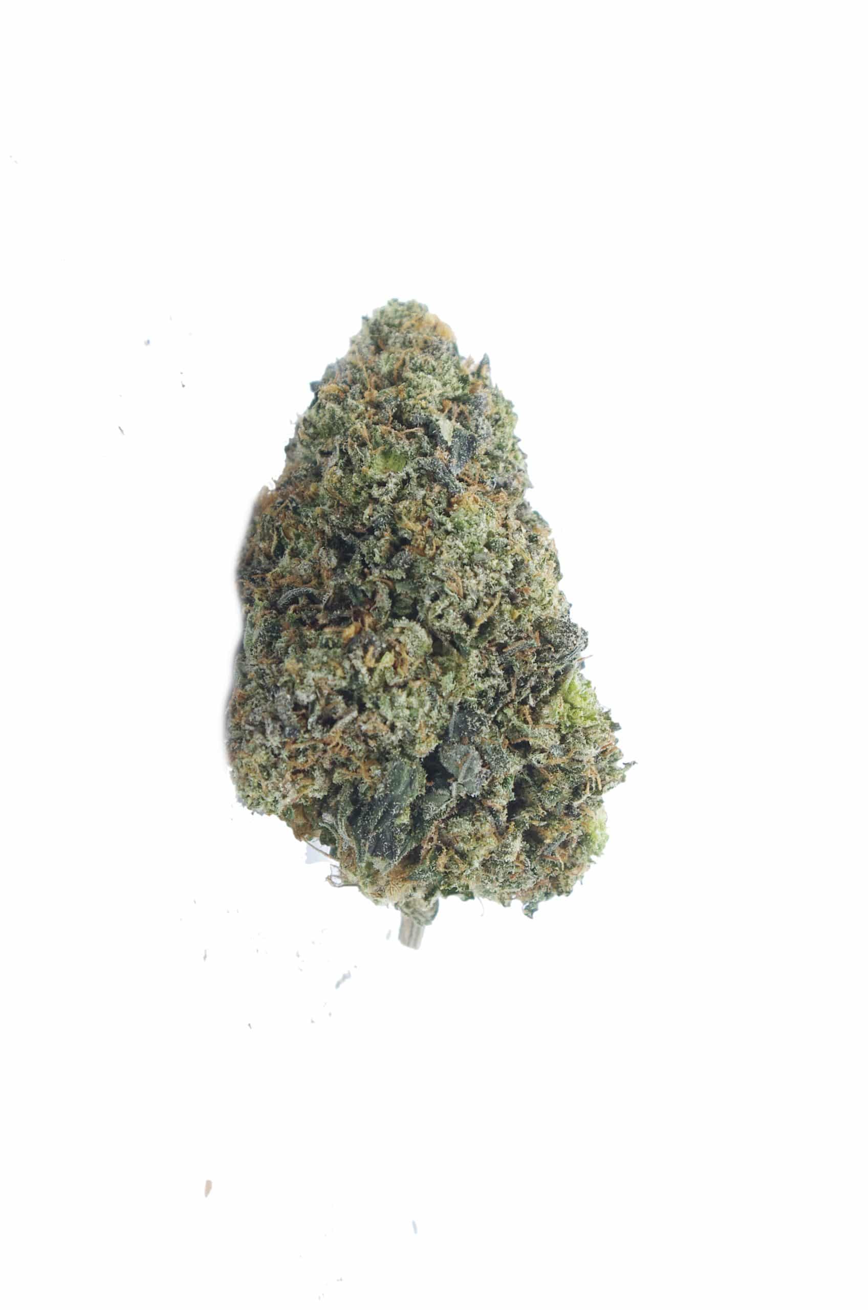 Starwalker (Oz Special) Indica anxiety Starwalker (Oz Special) Indica anxiety