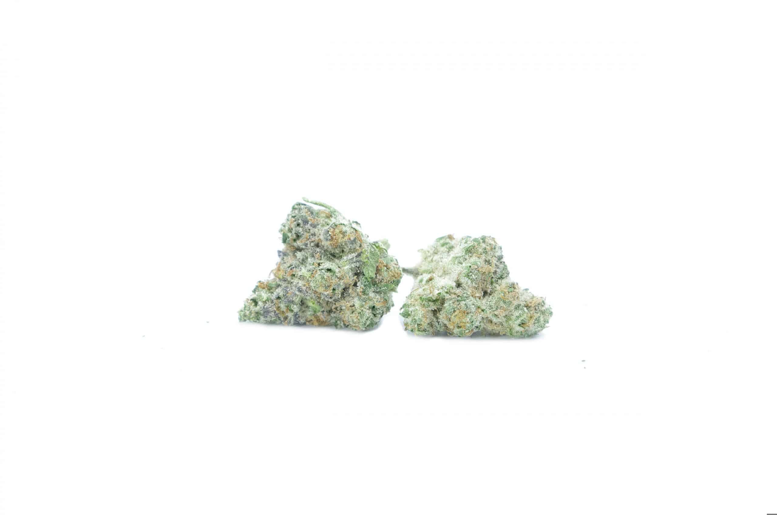 Sundae Driver (Oz Special) Hybrid anti-anxiety Sundae Driver (Oz Special) Hybrid anti-anxiety