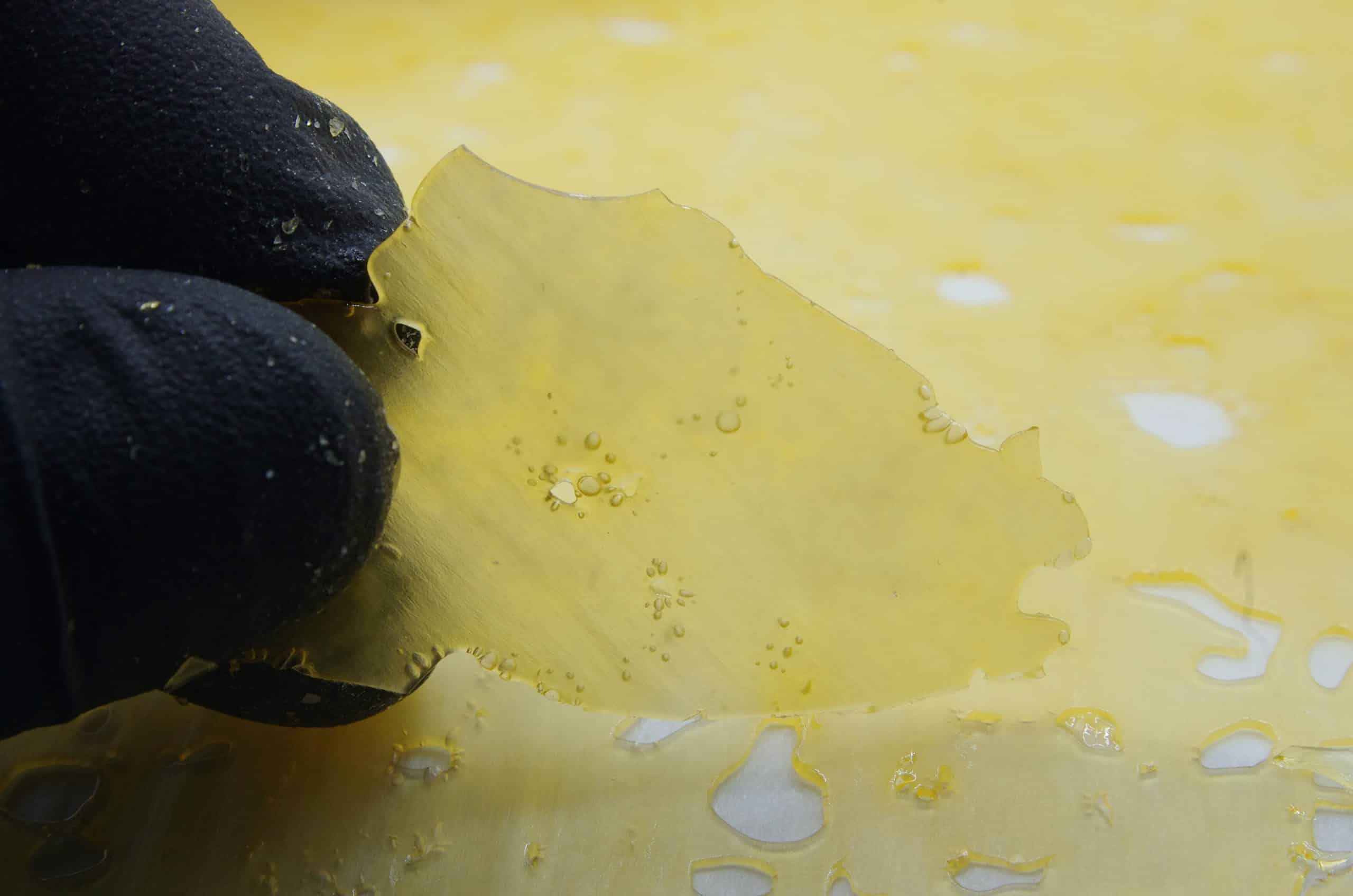 Super Silver Haze Shatter Concentrates Super Silver Haze Shatter Concentrates