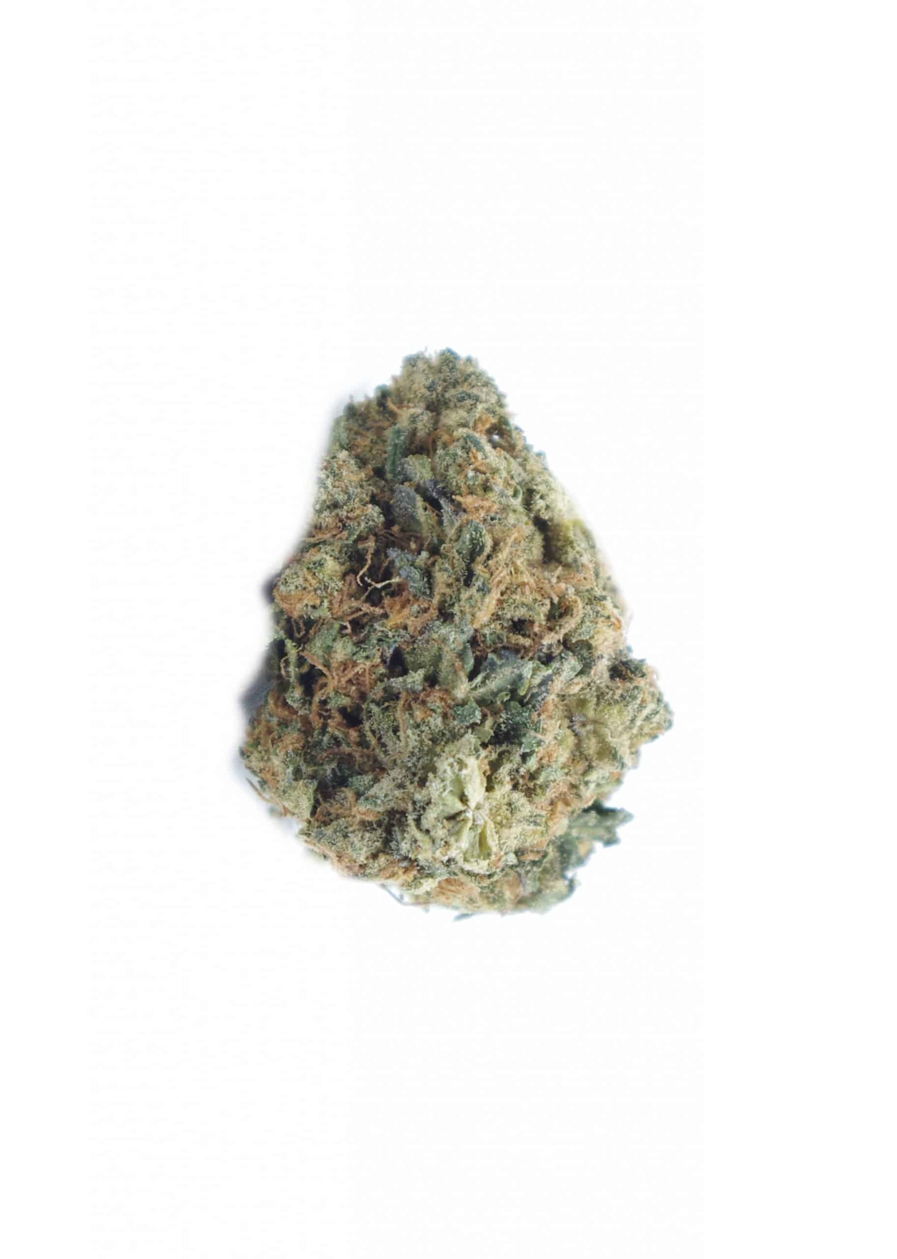 Tom Ford(Oz Special) Indica anti-anxiety Tom Ford(Oz Special) Indica anti-anxiety