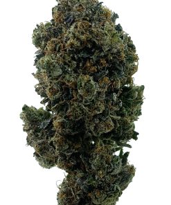 Buy Tom Ford Pink Kush
