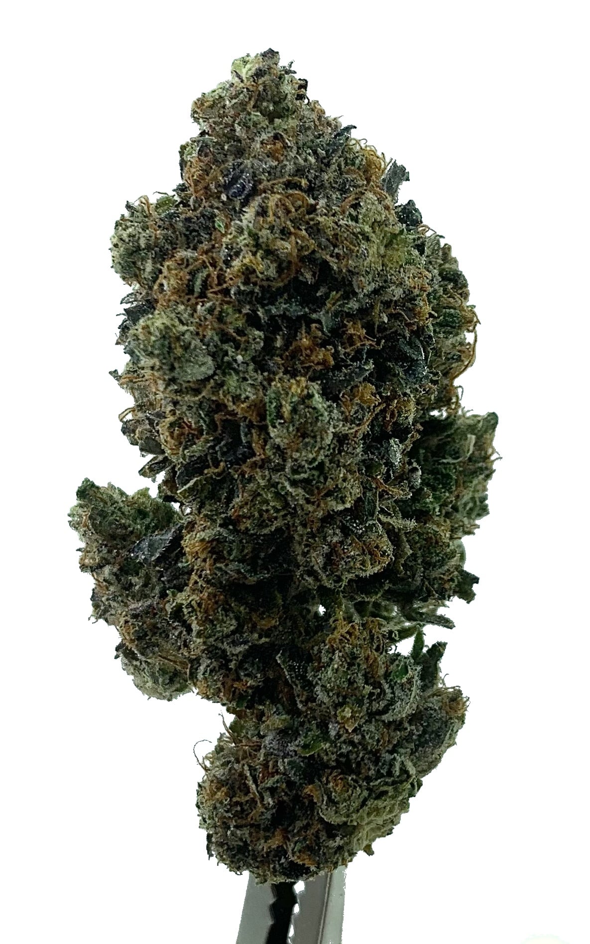 Tom Ford Pink Kush (Oz Special) Indica anxiety Tom Ford Pink Kush (Oz Special) Indica anxiety