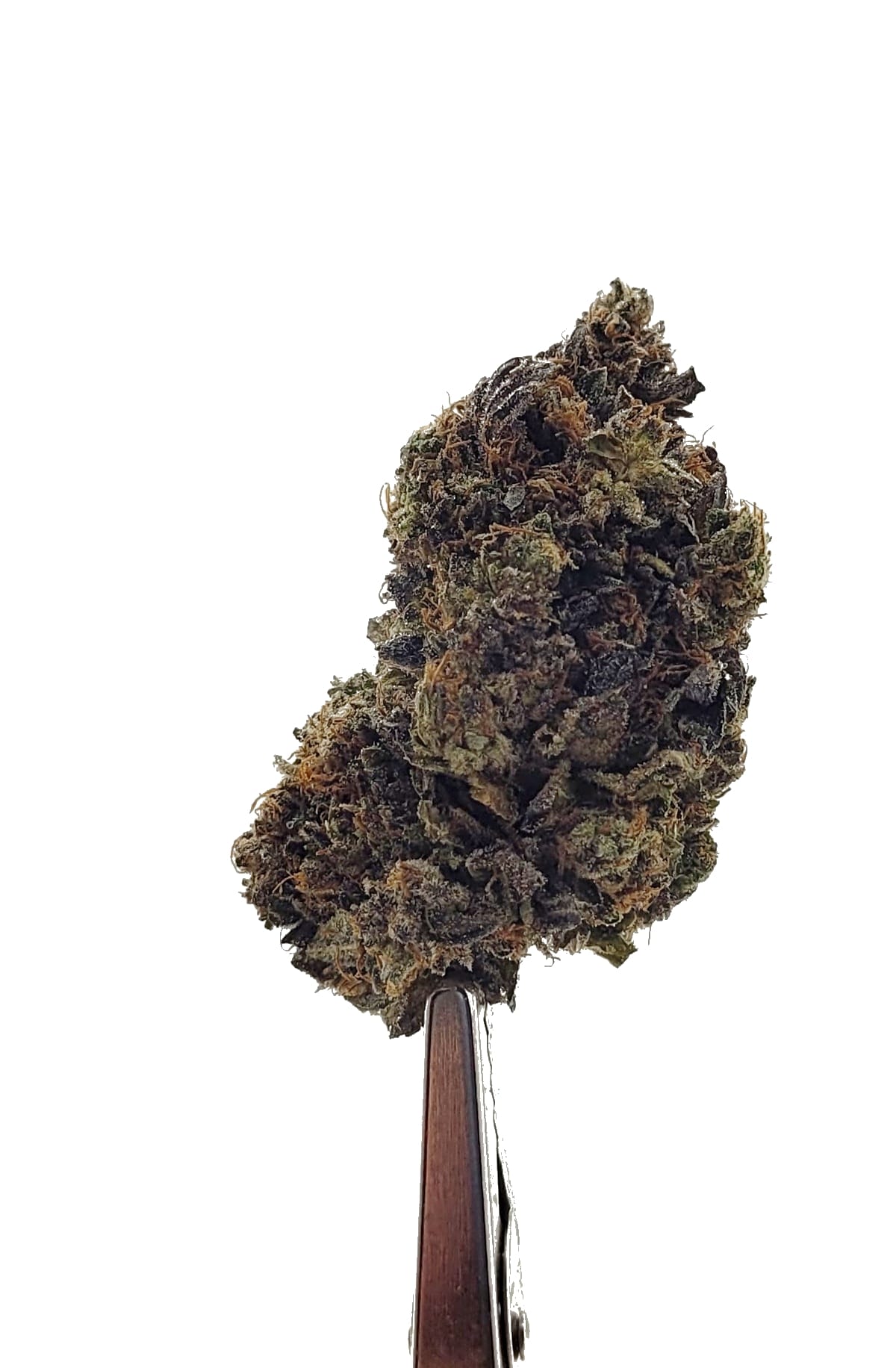 Tom Ford Pink Kush (Oz Special) Indica anxiety Tom Ford Pink Kush (Oz Special) Indica anxiety