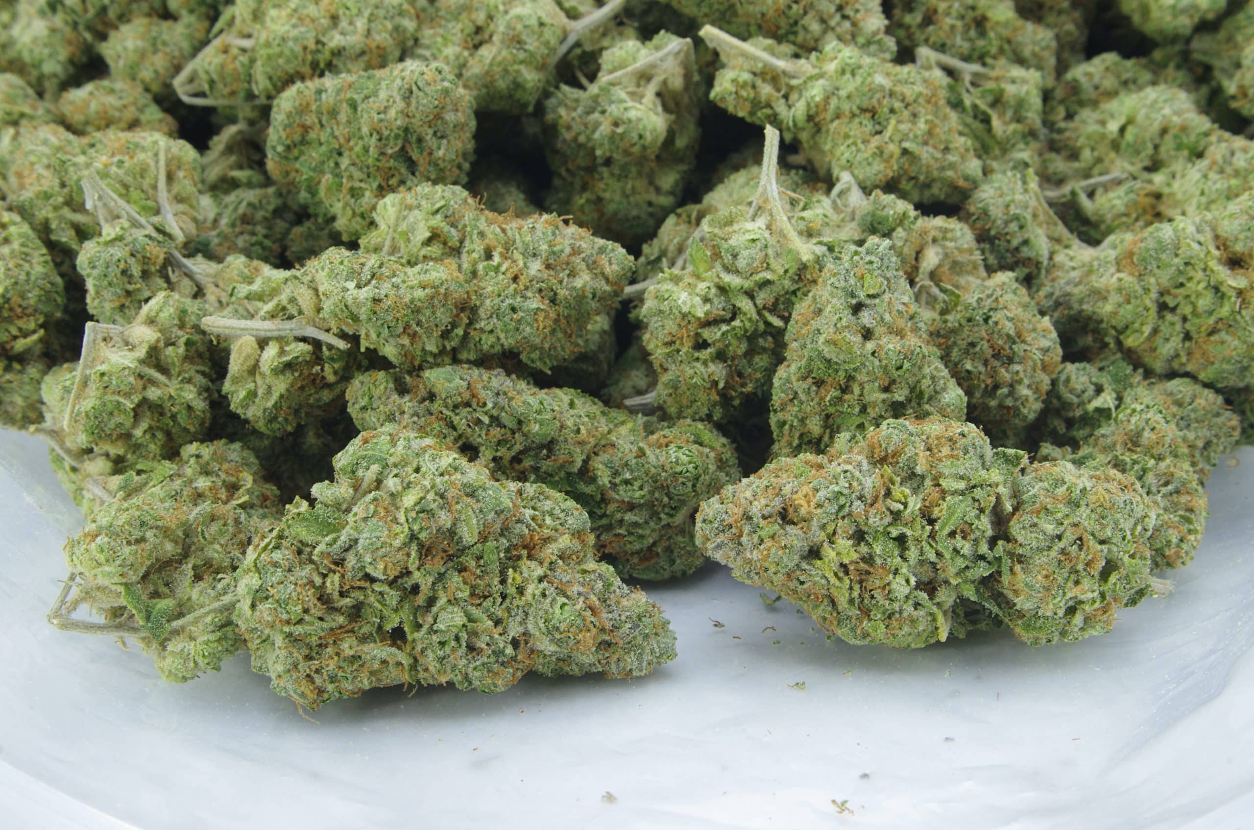 Tire Fire OG (Oz Special) All Strains anxiety Tire Fire OG (Oz Special) All Strains anxiety
