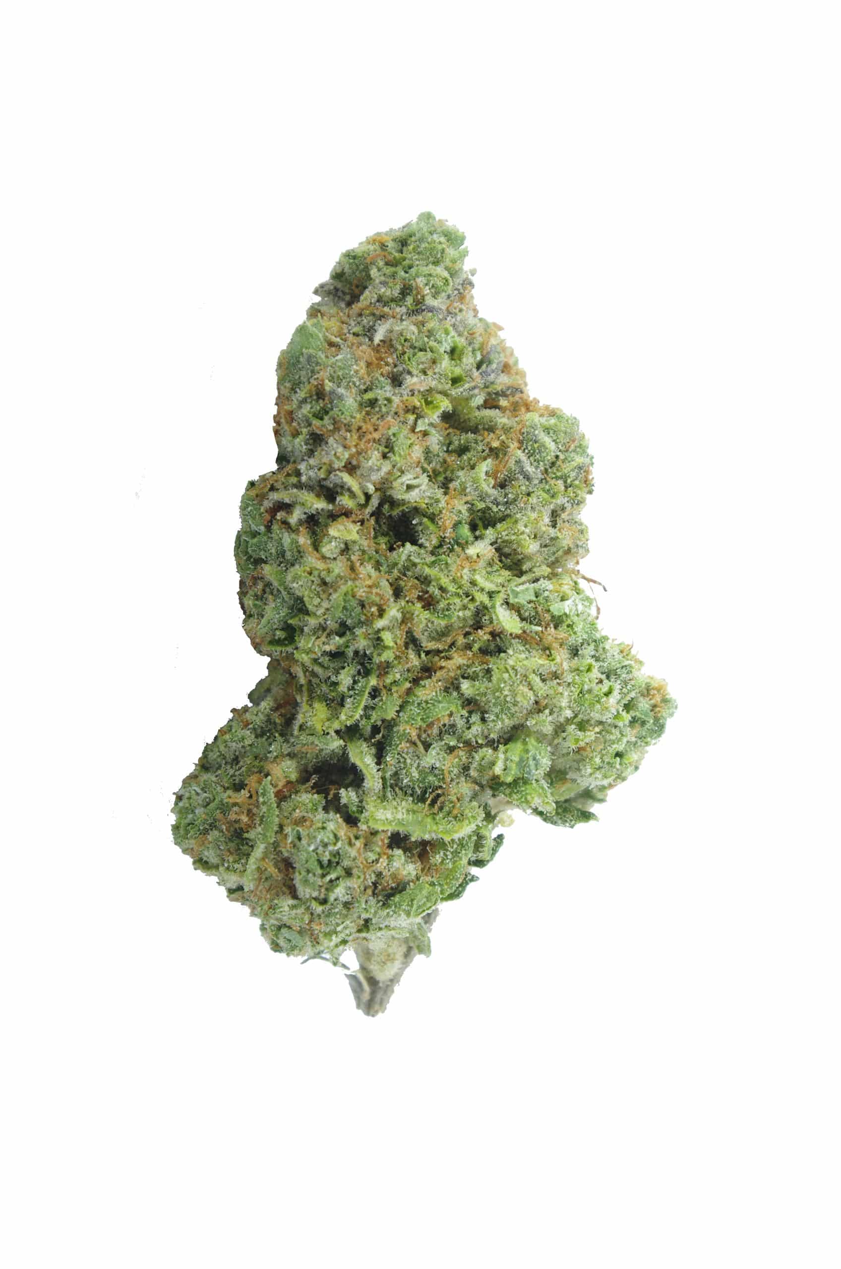 Tire Fire OG (Oz Special) All Strains anxiety Tire Fire OG (Oz Special) All Strains anxiety