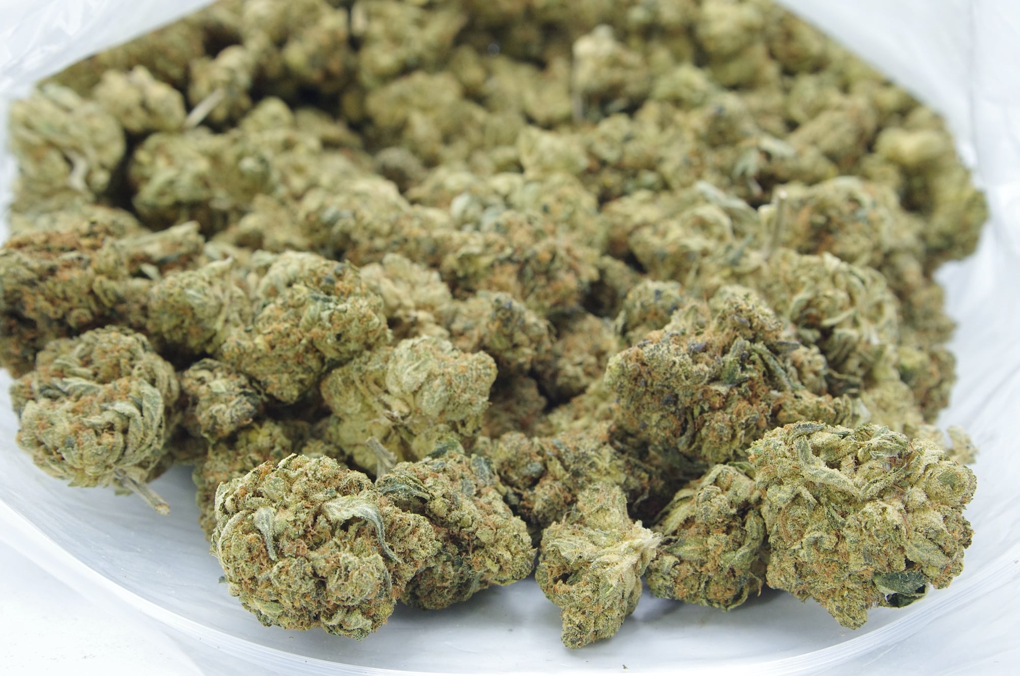 Tom Ford(Oz Special) Indica anti-anxiety Tom Ford(Oz Special) Indica anti-anxiety