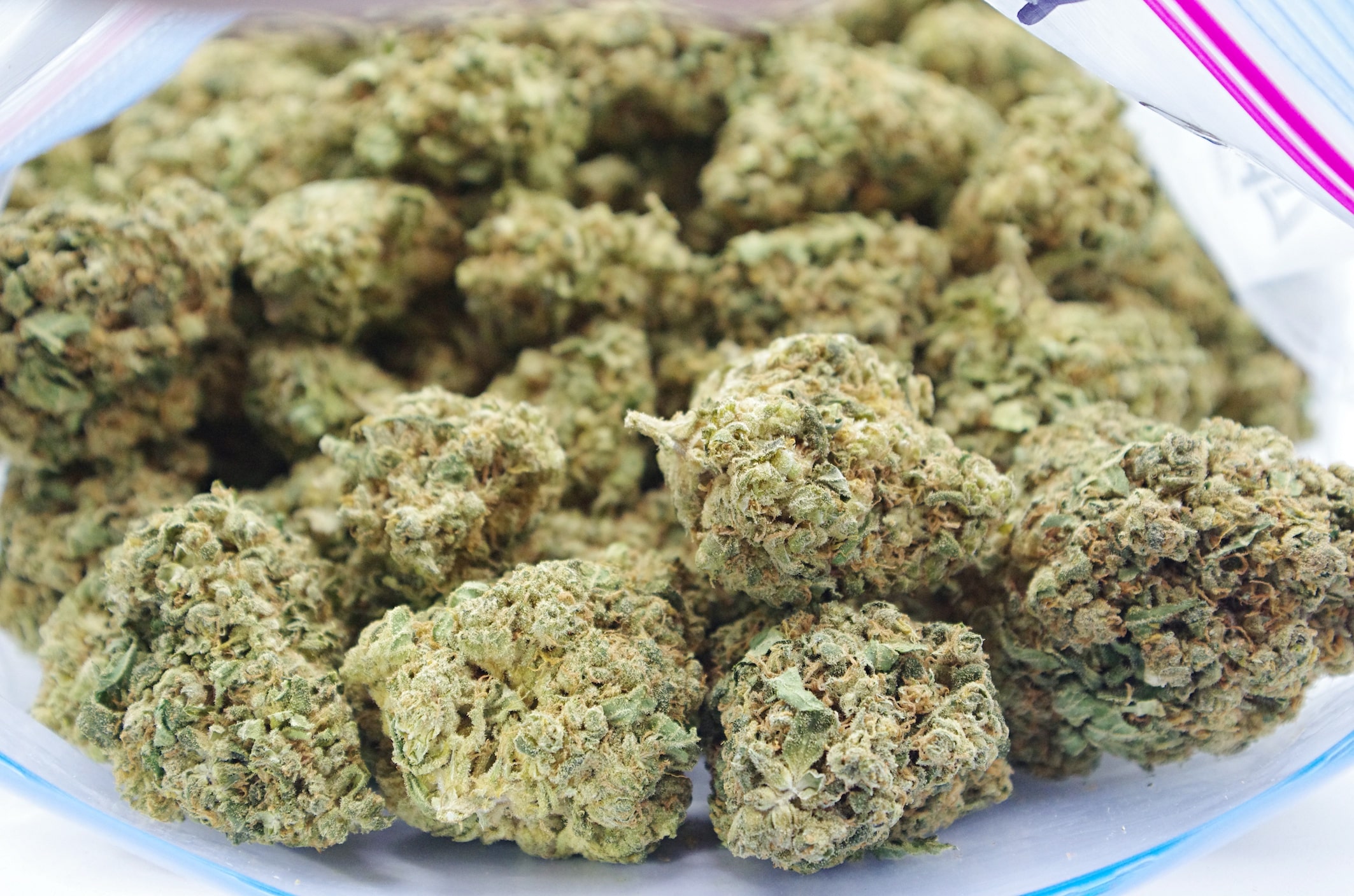 Trainwreck Haze (Oz Special) Sativa anti-anxiety Trainwreck Haze (Oz Special) Sativa anti-anxiety