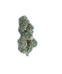buy tropicanna punch online