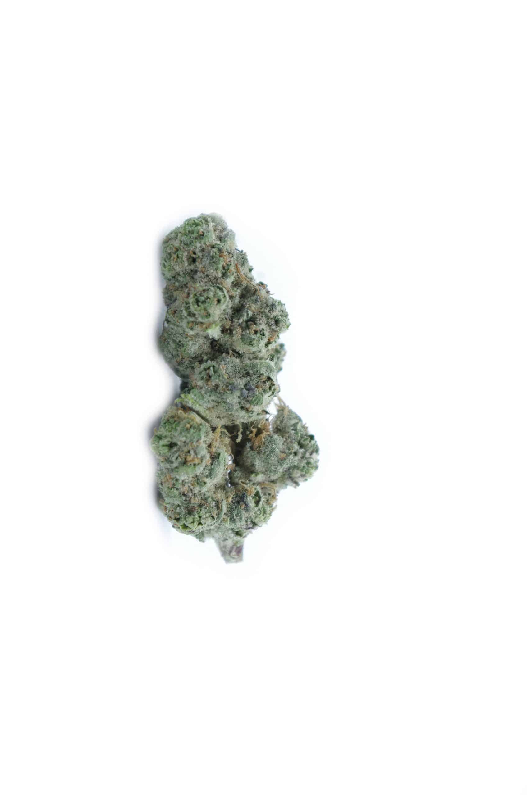 Tropicanna Punch (Oz Special) Hybrid anti-anxiety Tropicanna Punch (Oz Special) Hybrid anti-anxiety