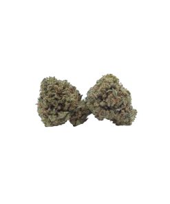 buy violator kush online