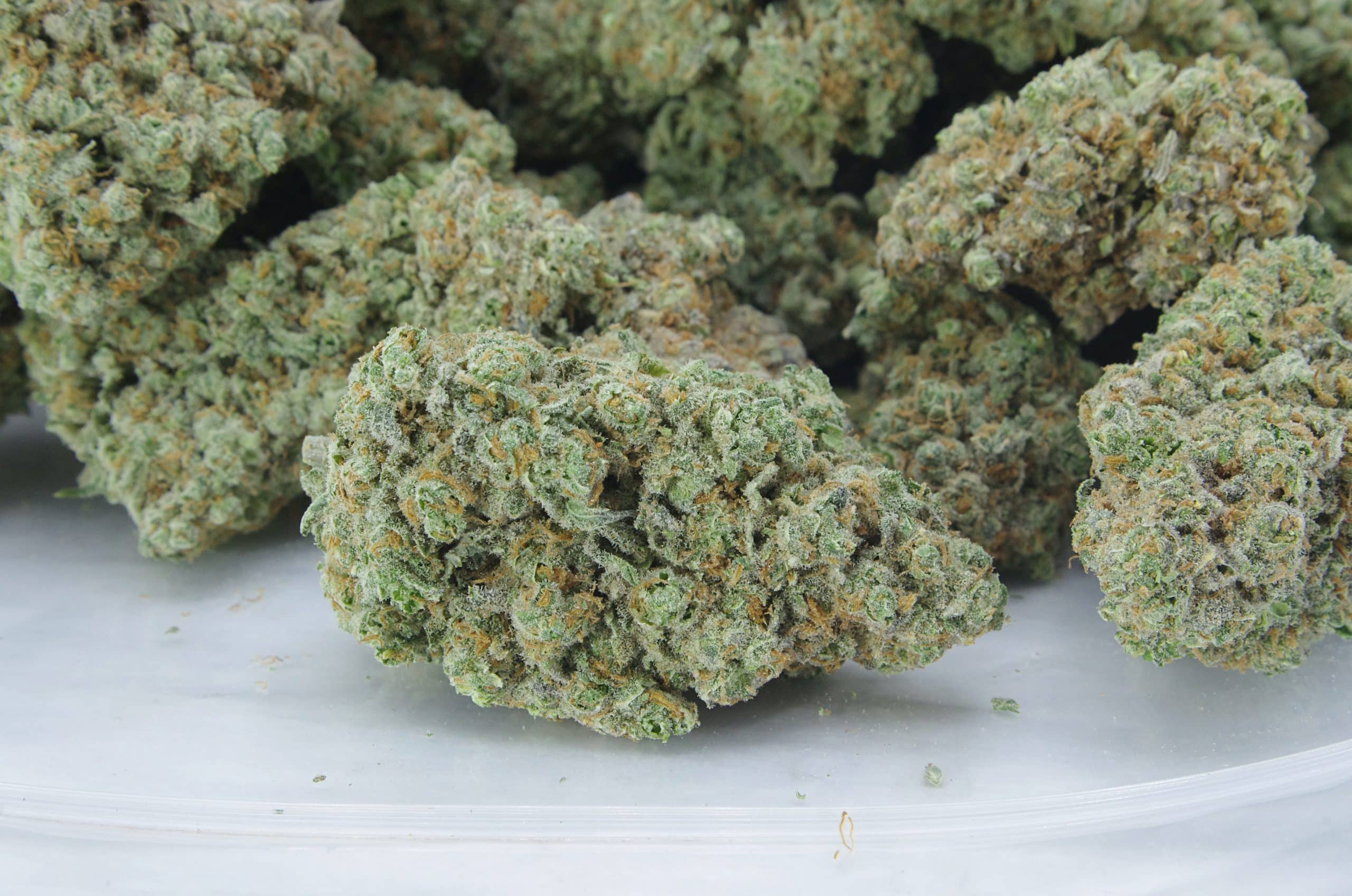 Watermelon Kush (Oz Special) All Strains anti-anxiety Watermelon Kush (Oz Special) All Strains anti-anxiety