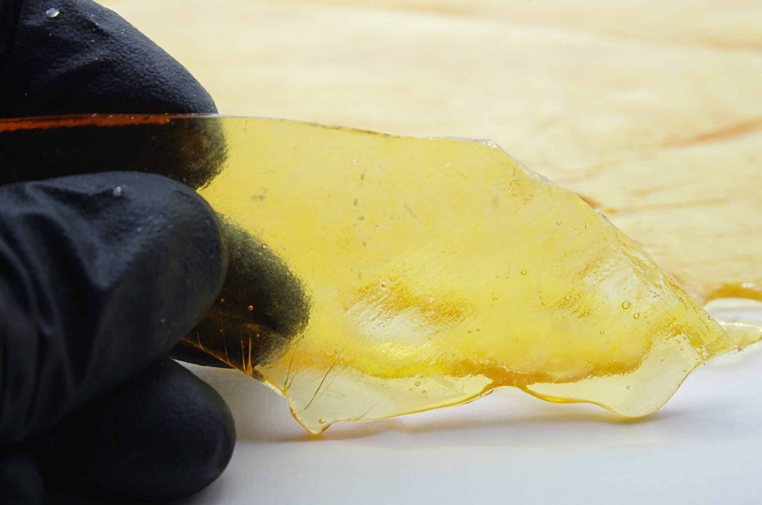 Wedding Cake Shatter Concentrates Wedding Cake Shatter Concentrates