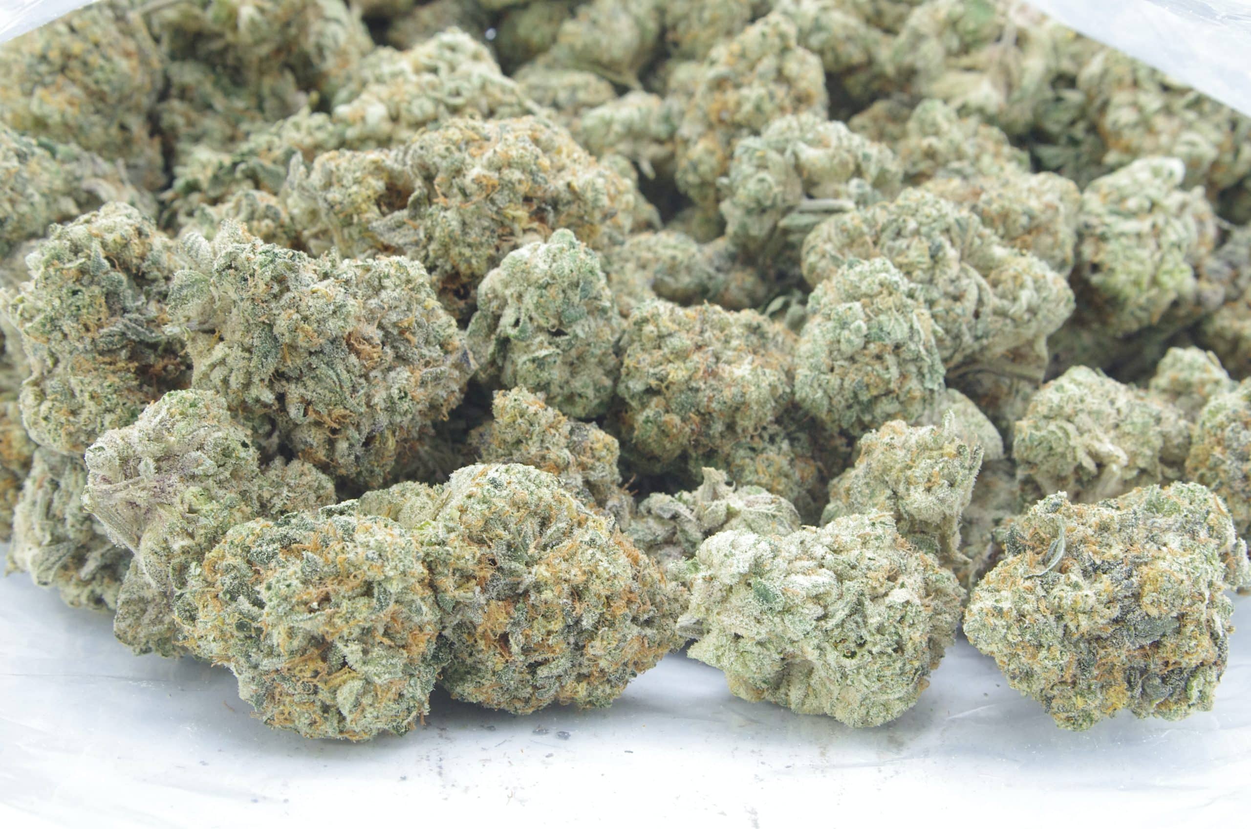 Wedding Pie (Oz Special) Hybrid anti-anxiety Wedding Pie (Oz Special) Hybrid anti-anxiety