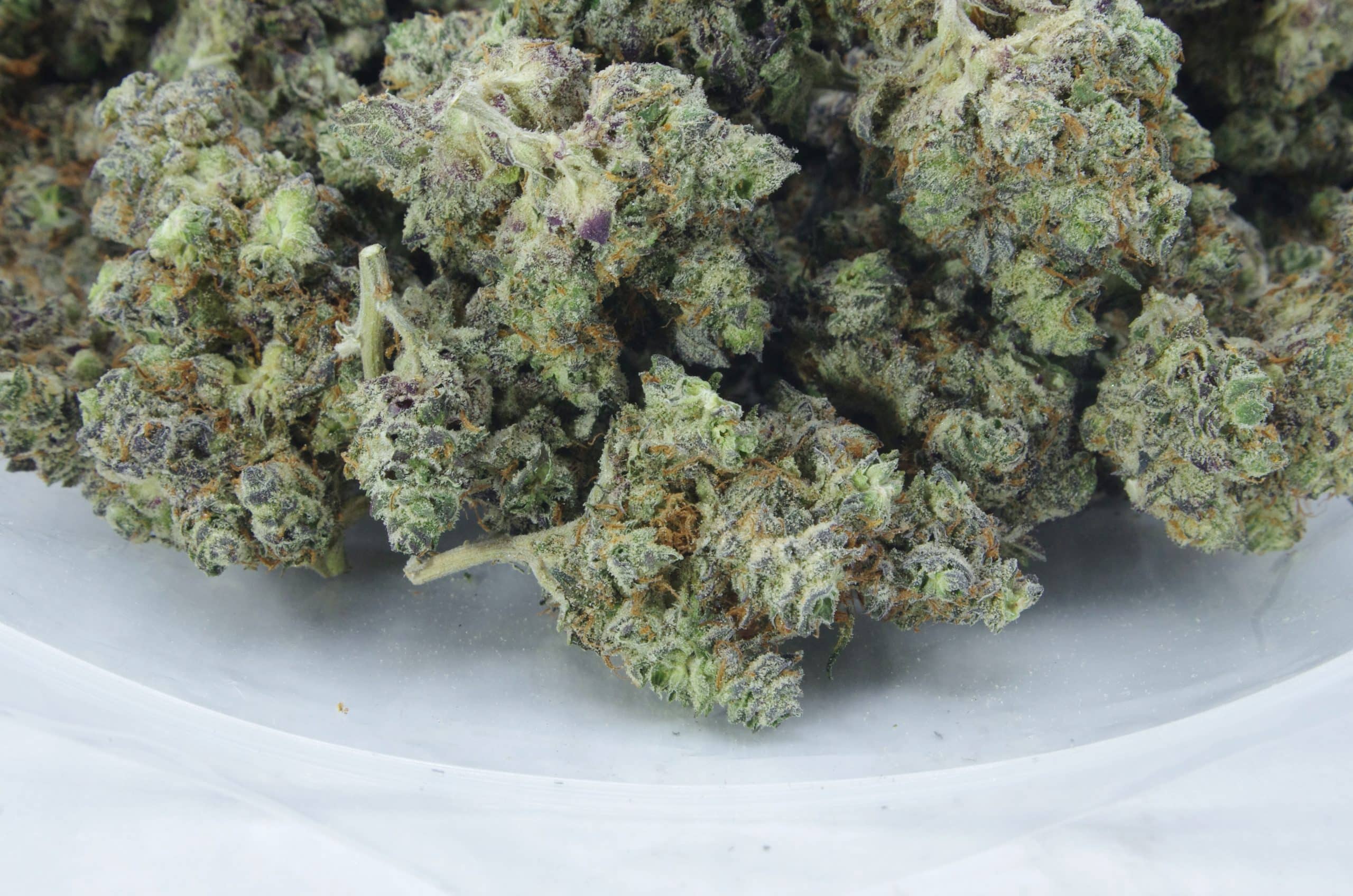 Royal Caramel (Oz Special) All Strains Royal Caramel (Oz Special) All Strains