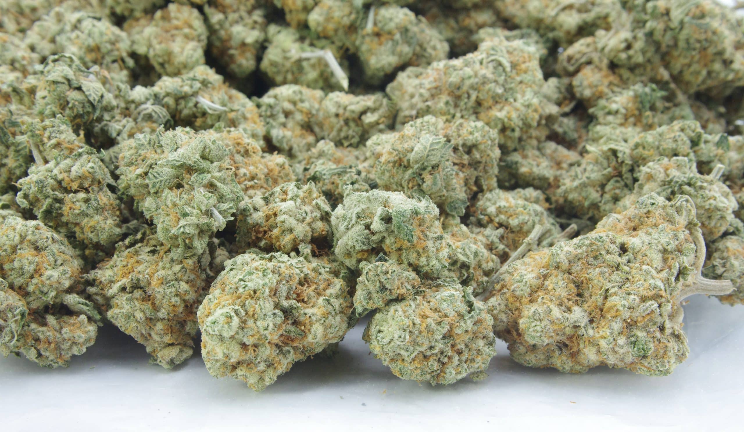Fire OG (Oz Special) Hybrid anti-anxiety Fire OG (Oz Special) Hybrid anti-anxiety