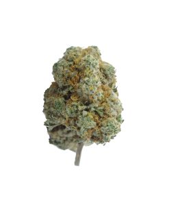 buy wifi og online