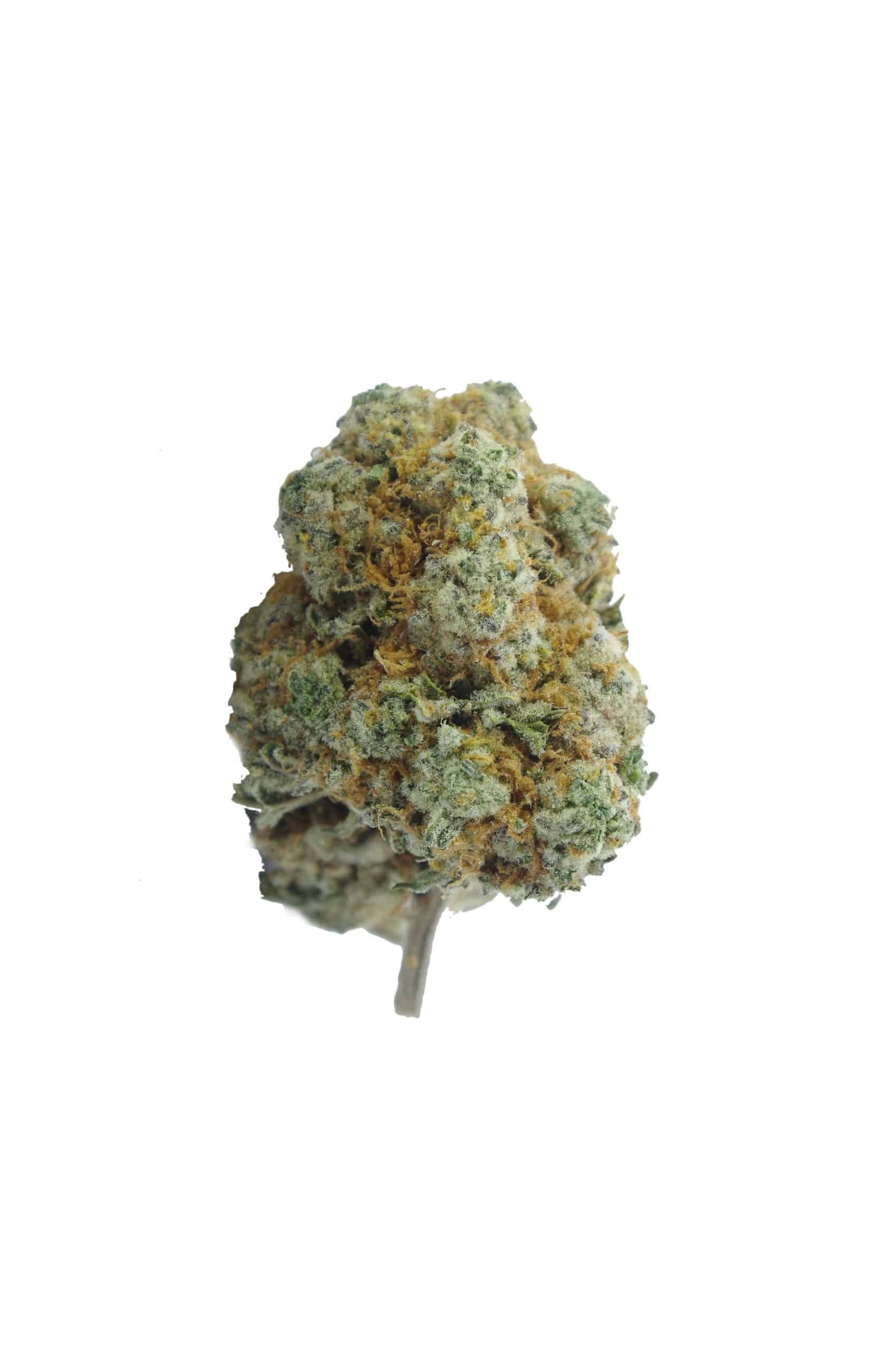 Fire OG (Oz Special) Hybrid anti-anxiety Fire OG (Oz Special) Hybrid anti-anxiety