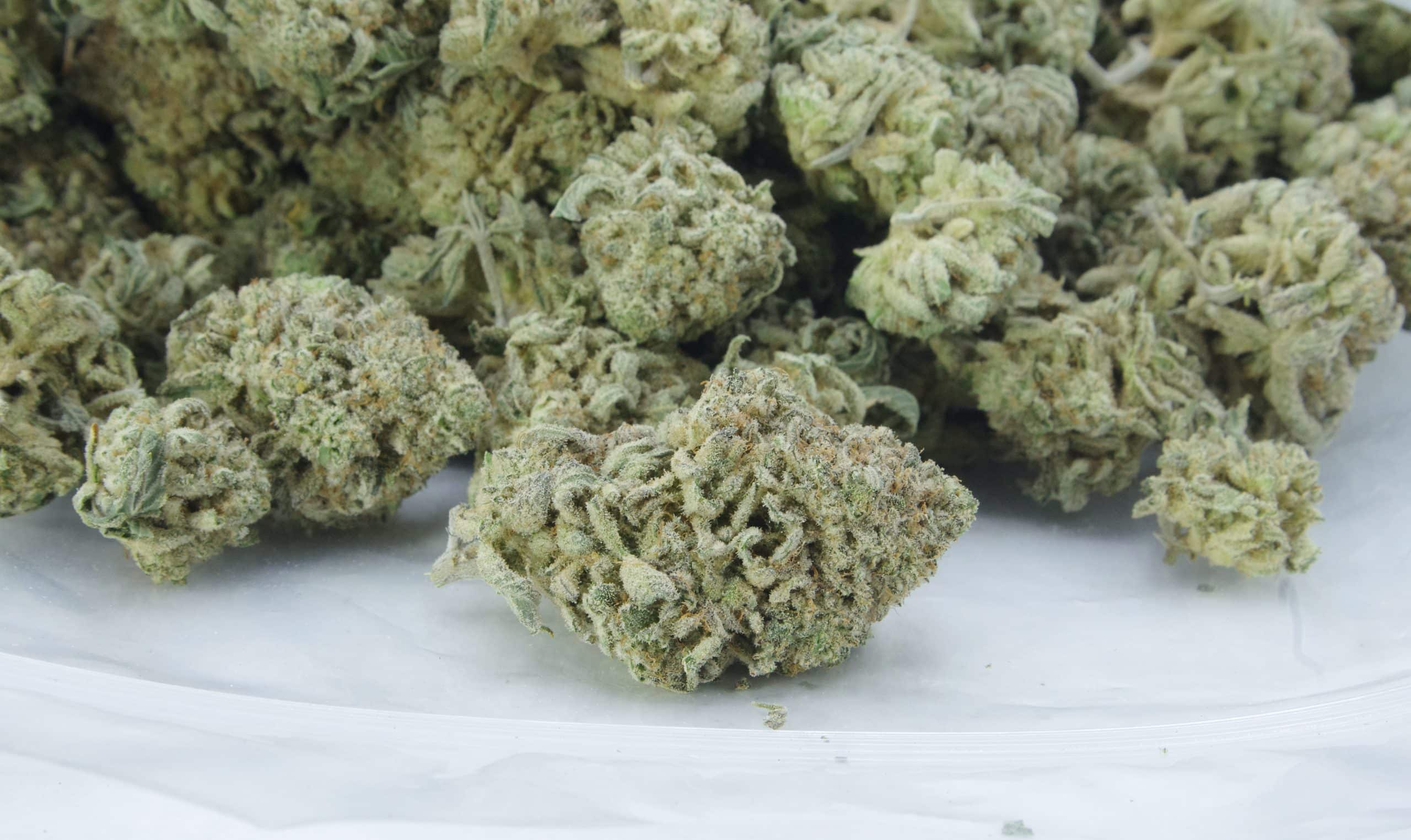 Zombie OG (Oz Special) Indica anxiety Zombie OG (Oz Special) Indica anxiety