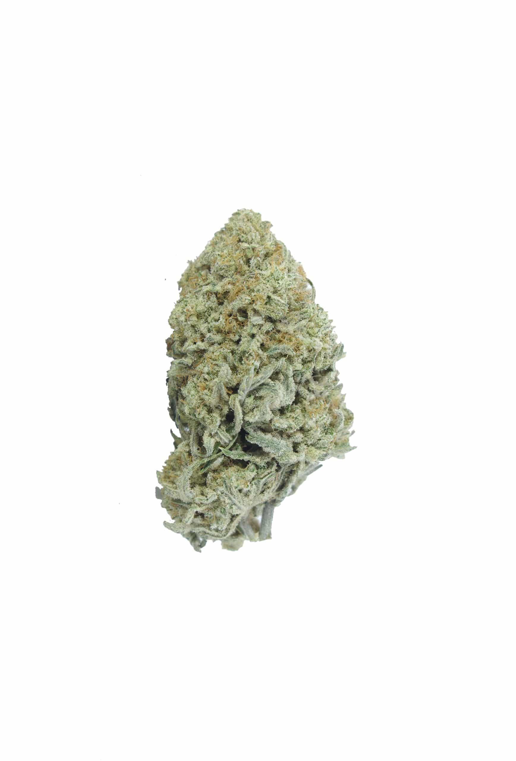 Zombie OG (Oz Special) Indica anxiety Zombie OG (Oz Special) Indica anxiety