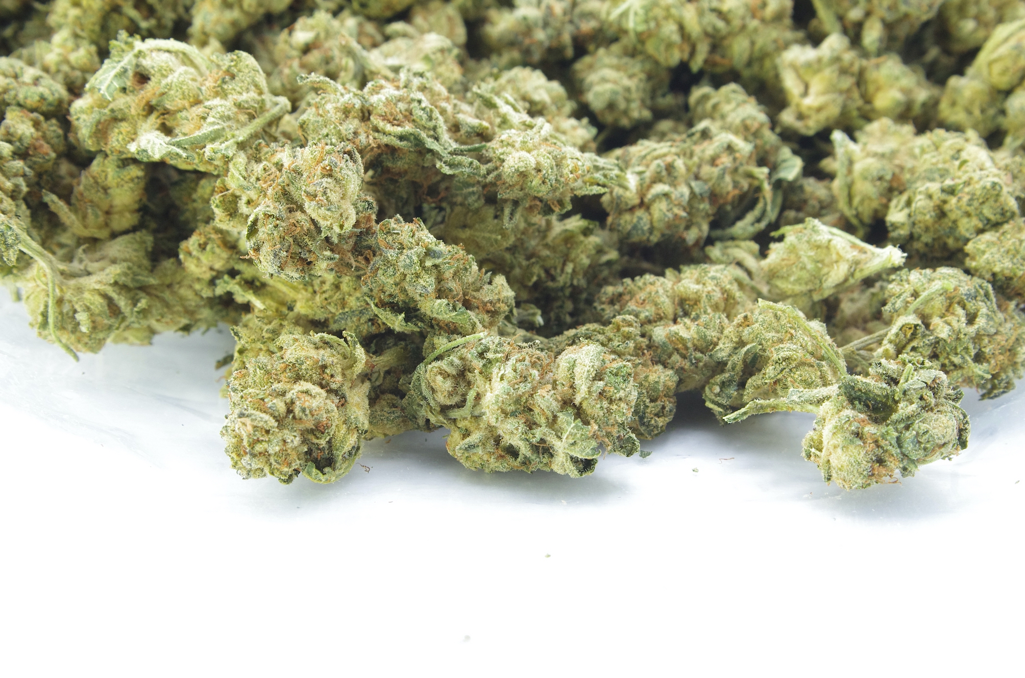 Chimp Mints Smalls (Oz Special) All Strains anti-anxiety Chimp Mints Smalls (Oz Special) All Strains anti-anxiety