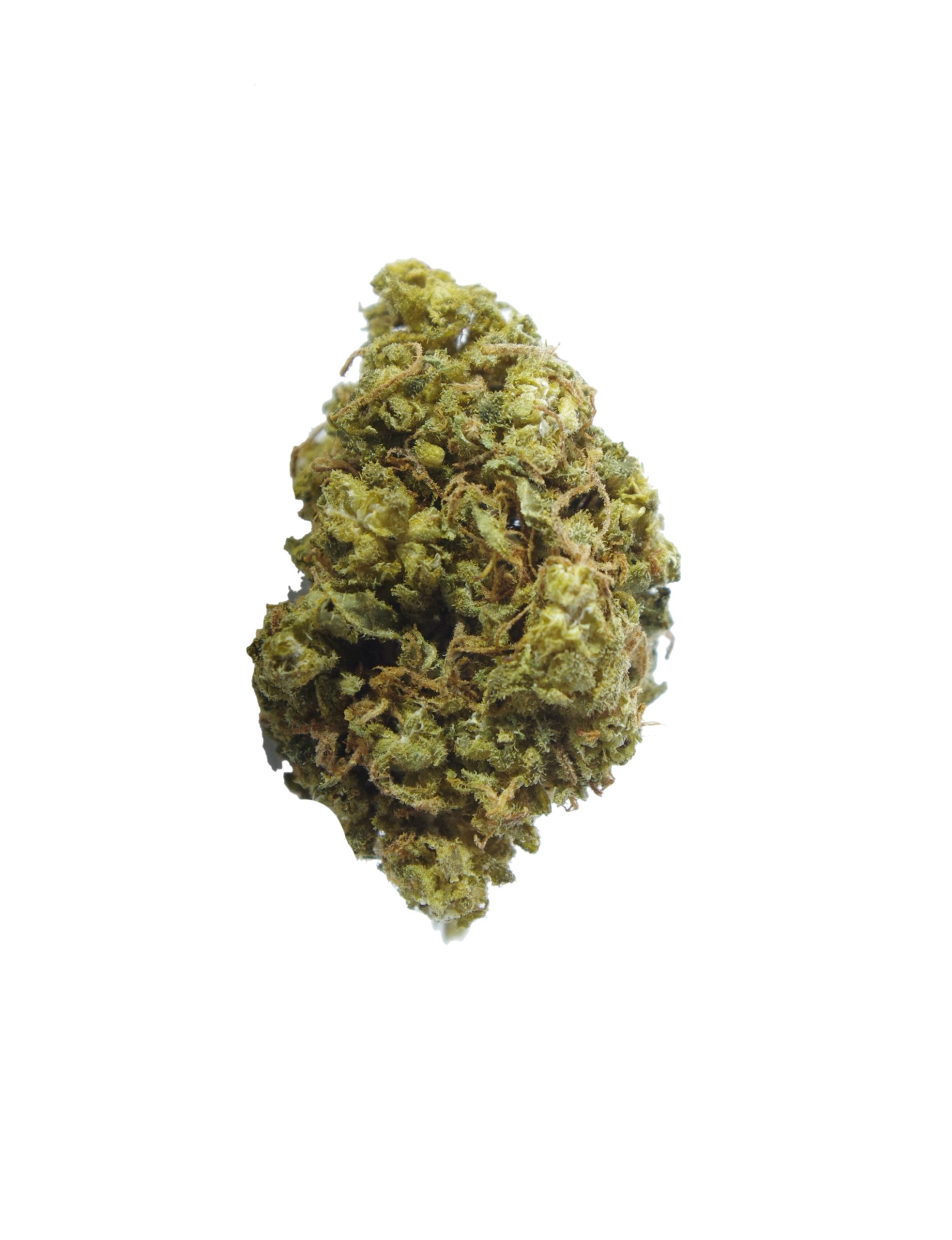 Lemon Haze (Oz Special) Sativa anxiety Lemon Haze (Oz Special) Sativa anxiety