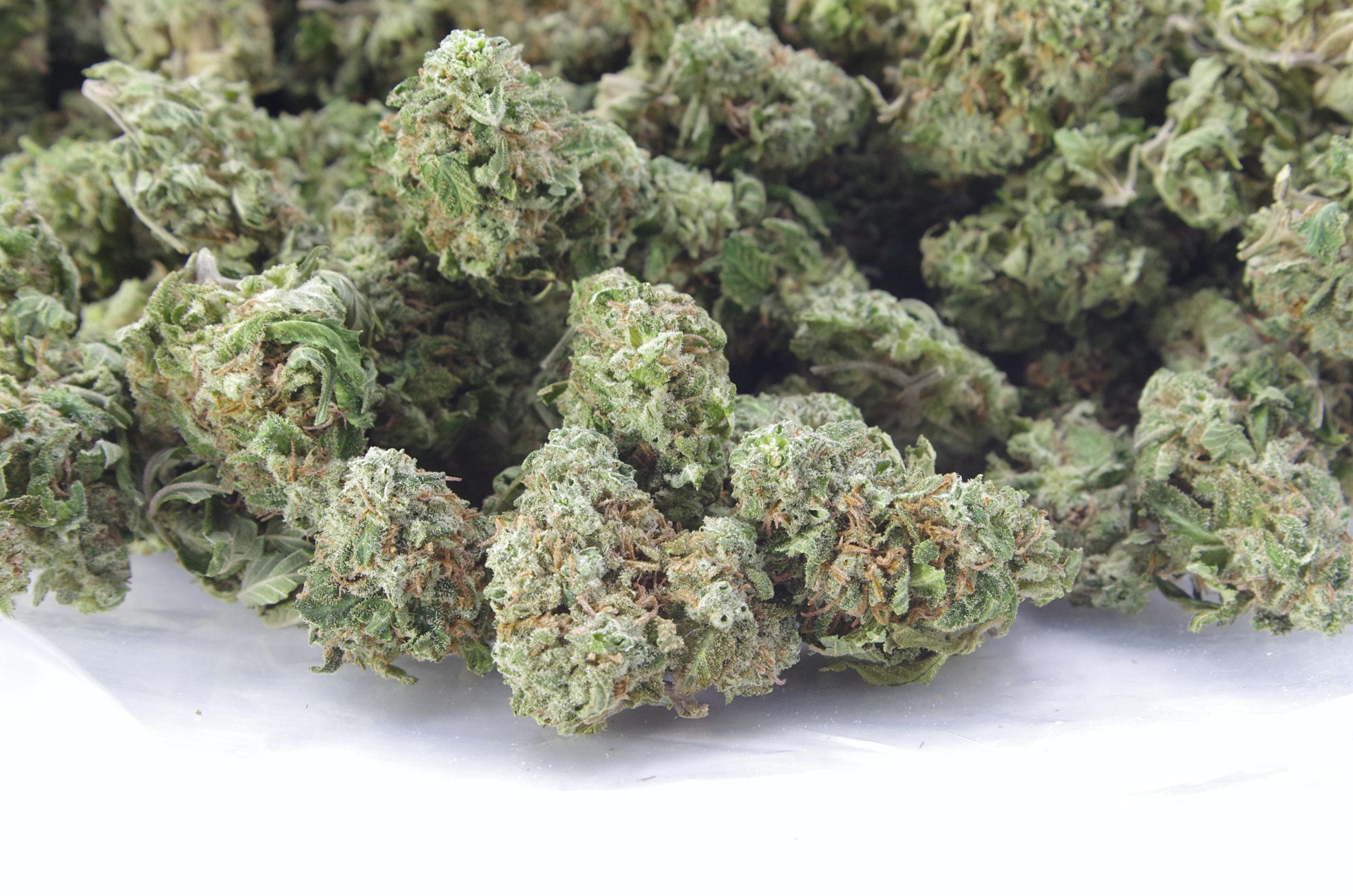 Frosted Grapes (Oz Special) Hybrid anti-anxiety Frosted Grapes (Oz Special) Hybrid anti-anxiety