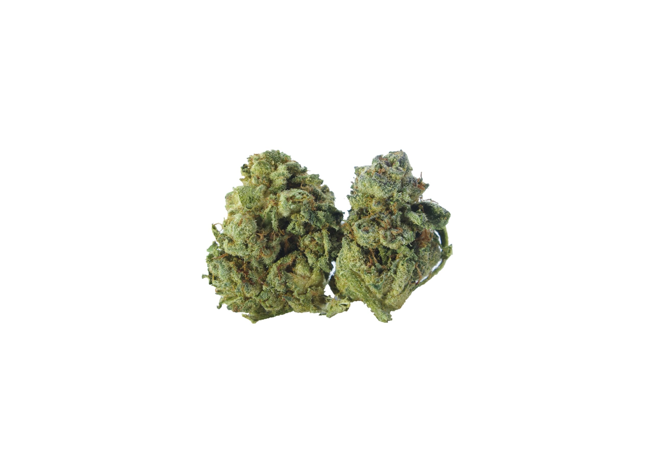 Chimp Mints Smalls (Oz Special) All Strains anti-anxiety Chimp Mints Smalls (Oz Special) All Strains anti-anxiety