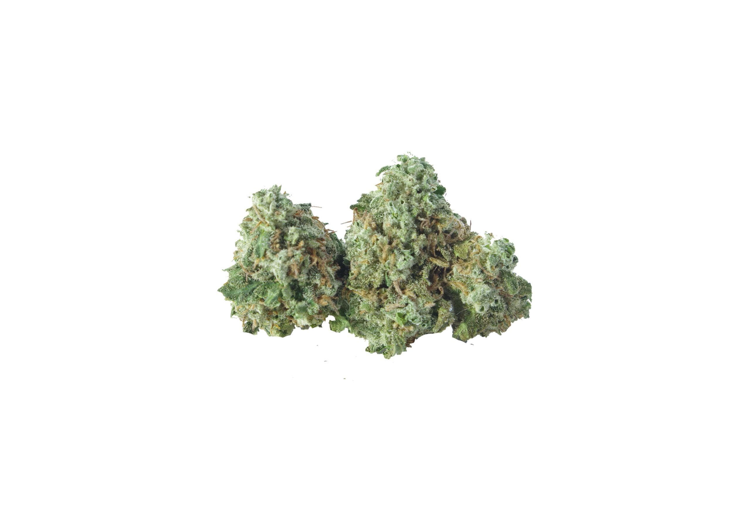 Frosted Grapes (Oz Special) Hybrid anti-anxiety Frosted Grapes (Oz Special) Hybrid anti-anxiety