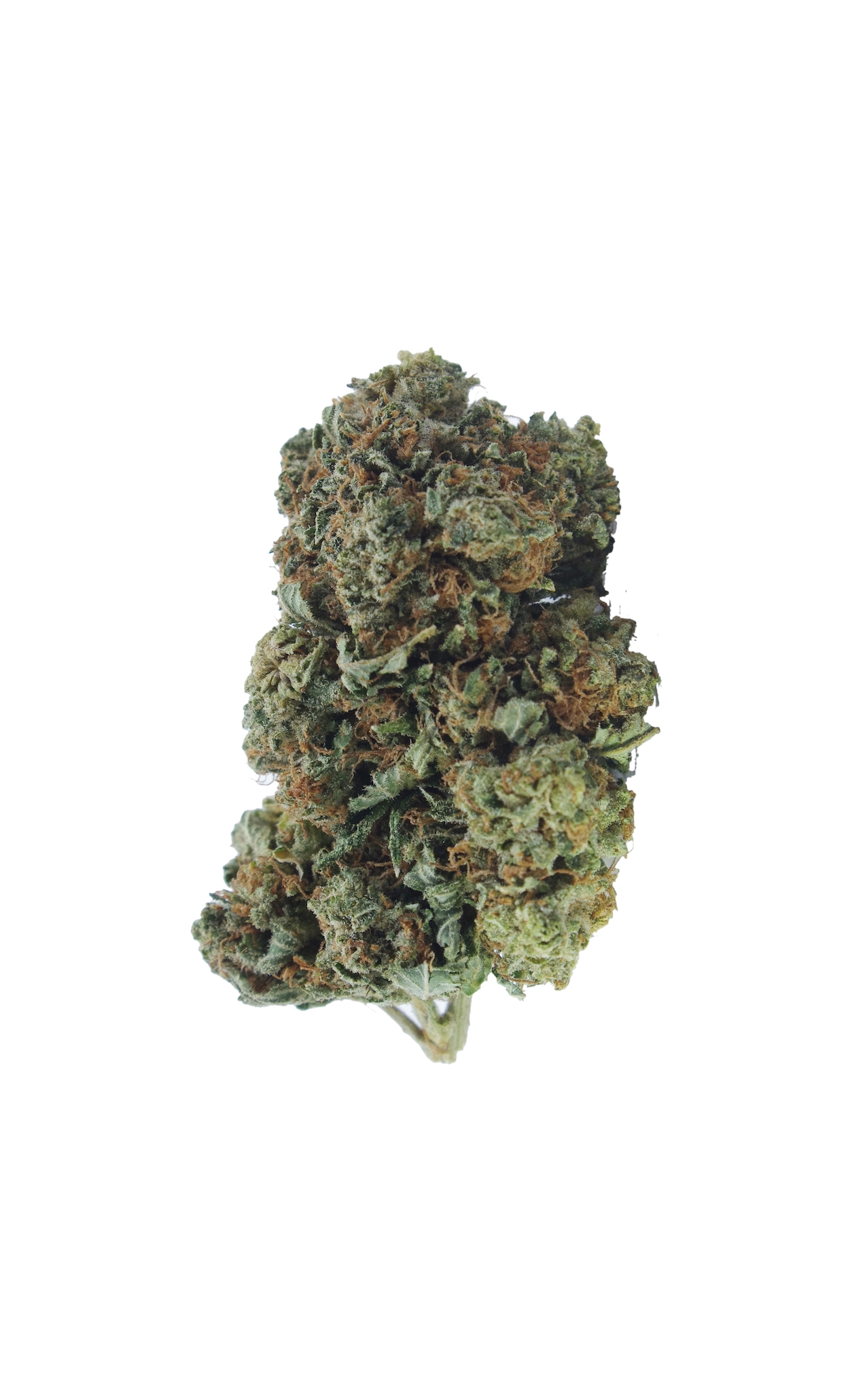 Laughing Gas All Strains anti-anxiety Laughing Gas All Strains anti-anxiety