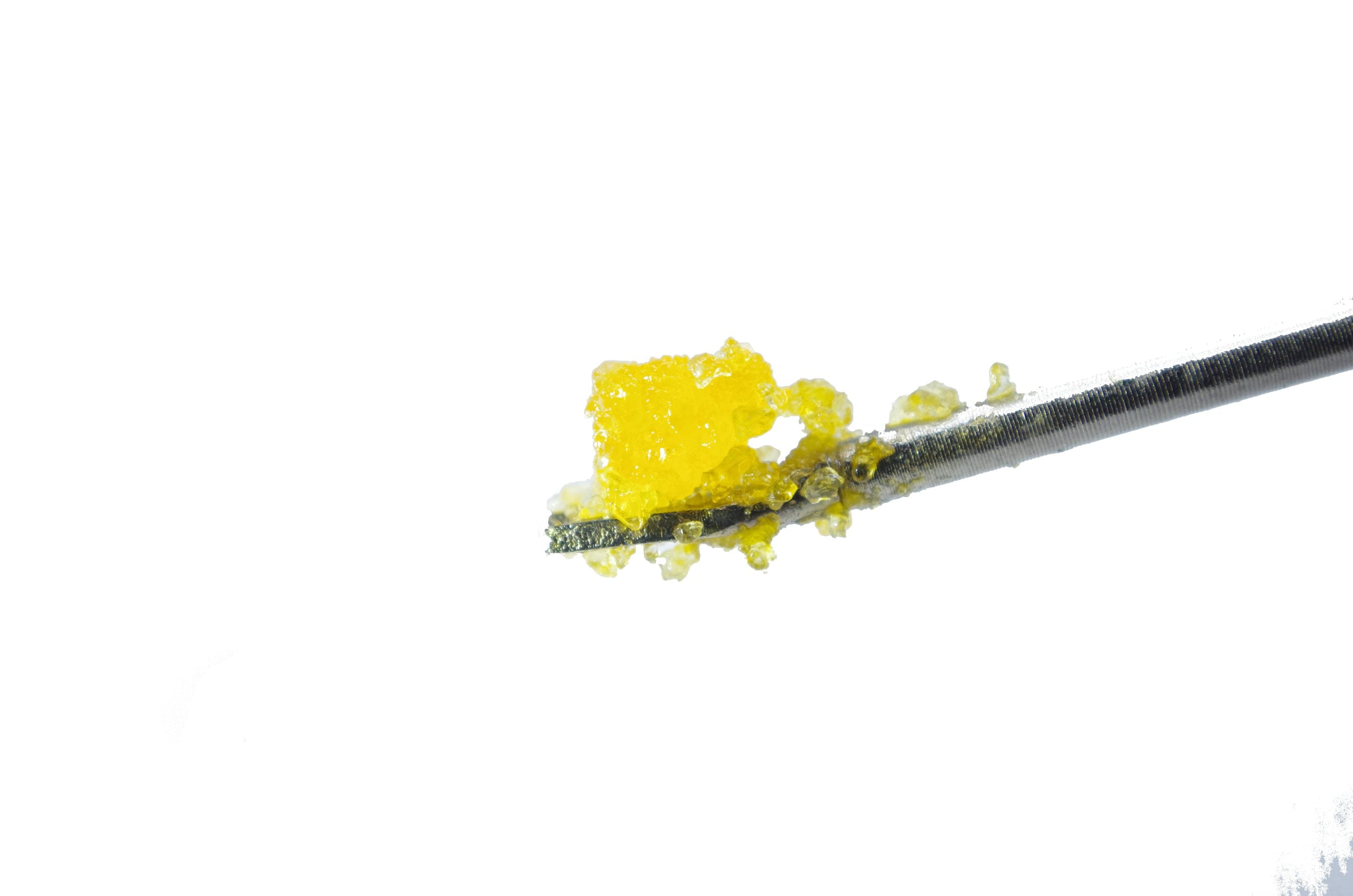 Glueberry – Terp Diamonds Concentrates Glueberry – Terp Diamonds Concentrates