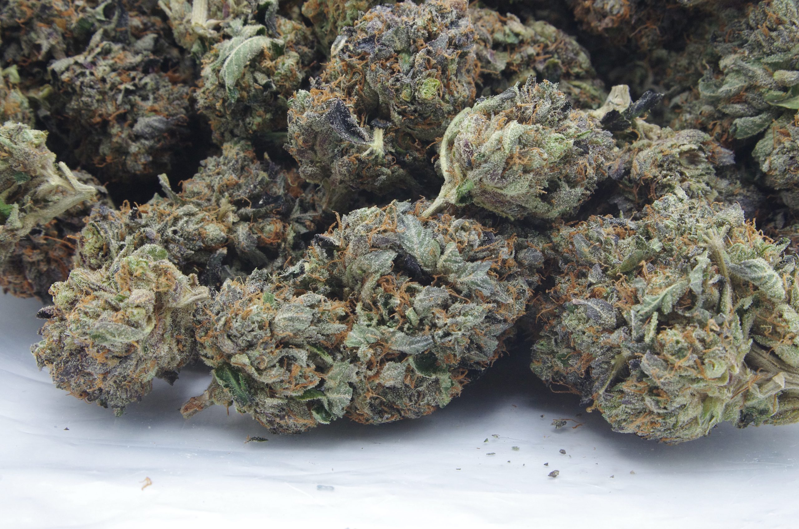 Comatose OG (Oz Special) All Strains anti-anxiety Comatose OG (Oz Special) All Strains anti-anxiety