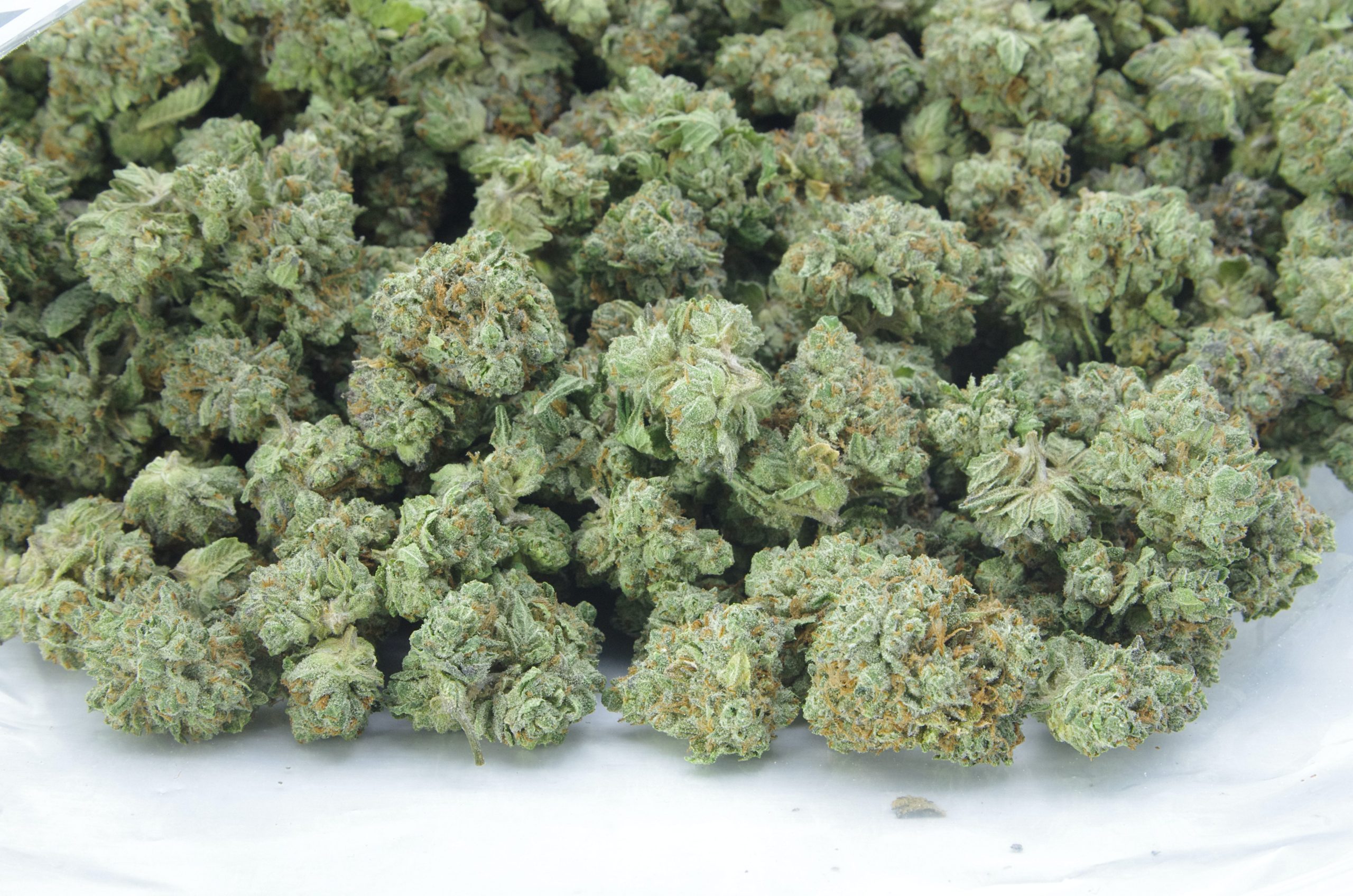 Funky Charms Smalls (Oz Special) Hybrid anti-anxiety Funky Charms Smalls (Oz Special) Hybrid anti-anxiety