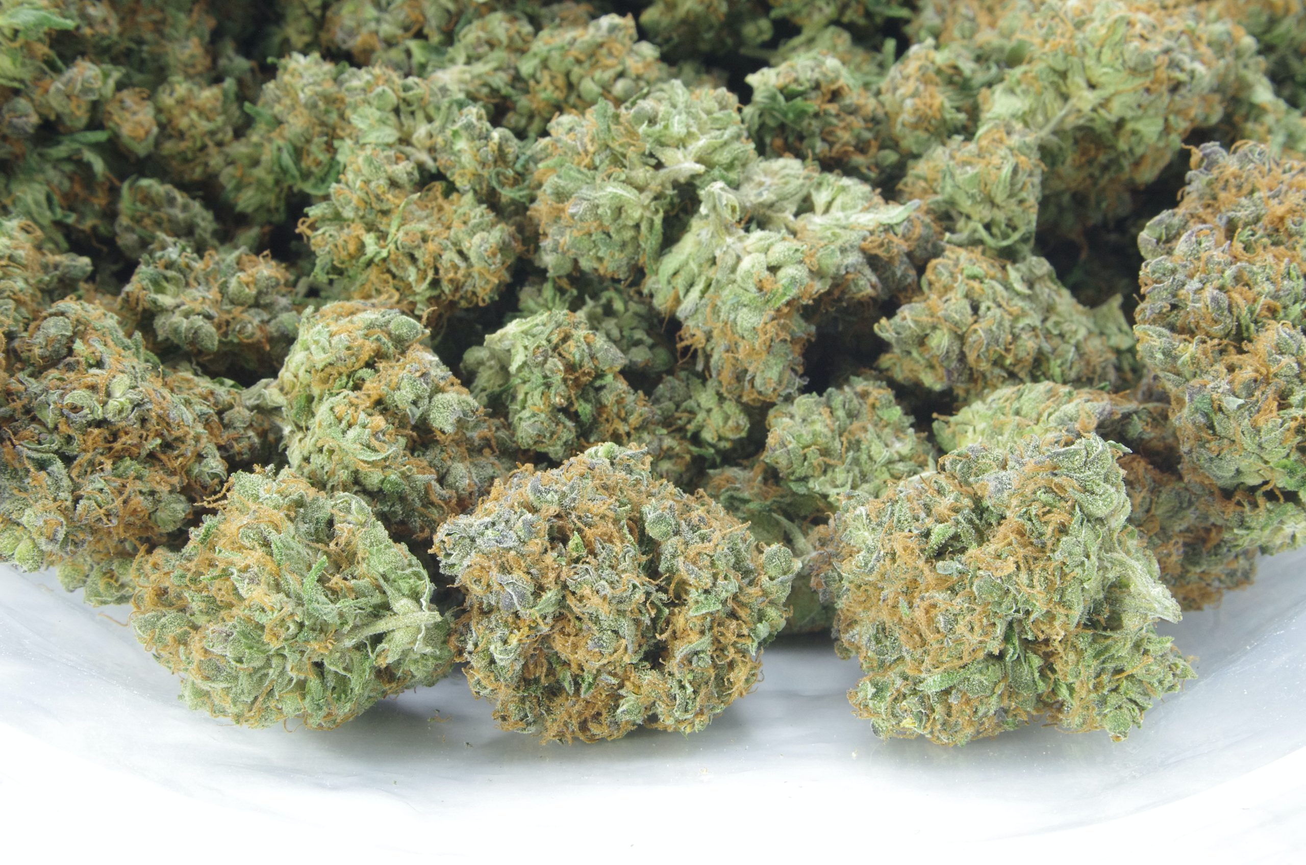 Jack Herer (Oz Special) All Strains anti-anxiety Jack Herer (Oz Special) All Strains anti-anxiety