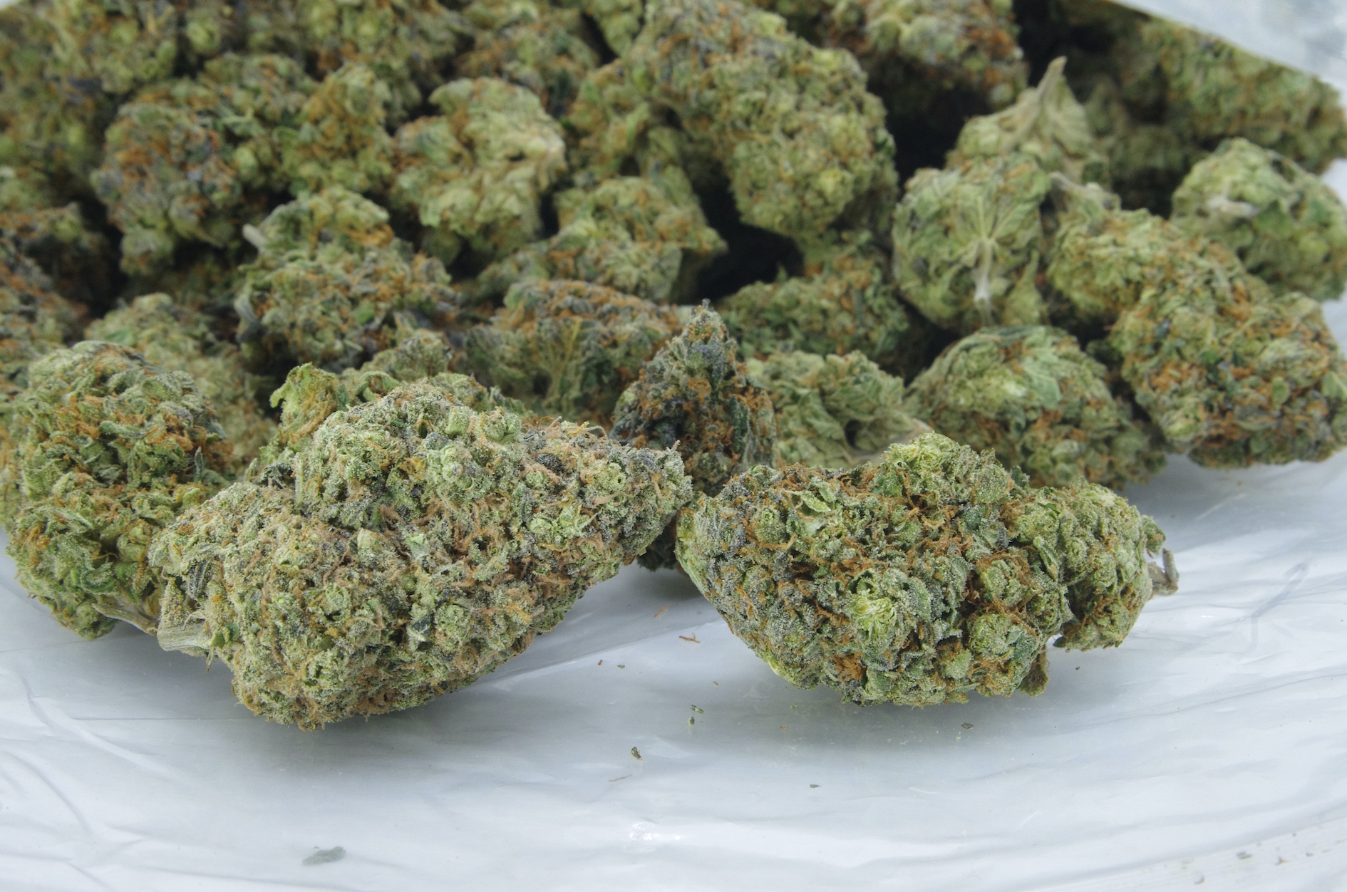 Platinum OG (Oz Special) Indica anti-anxiety Platinum OG (Oz Special) Indica anti-anxiety
