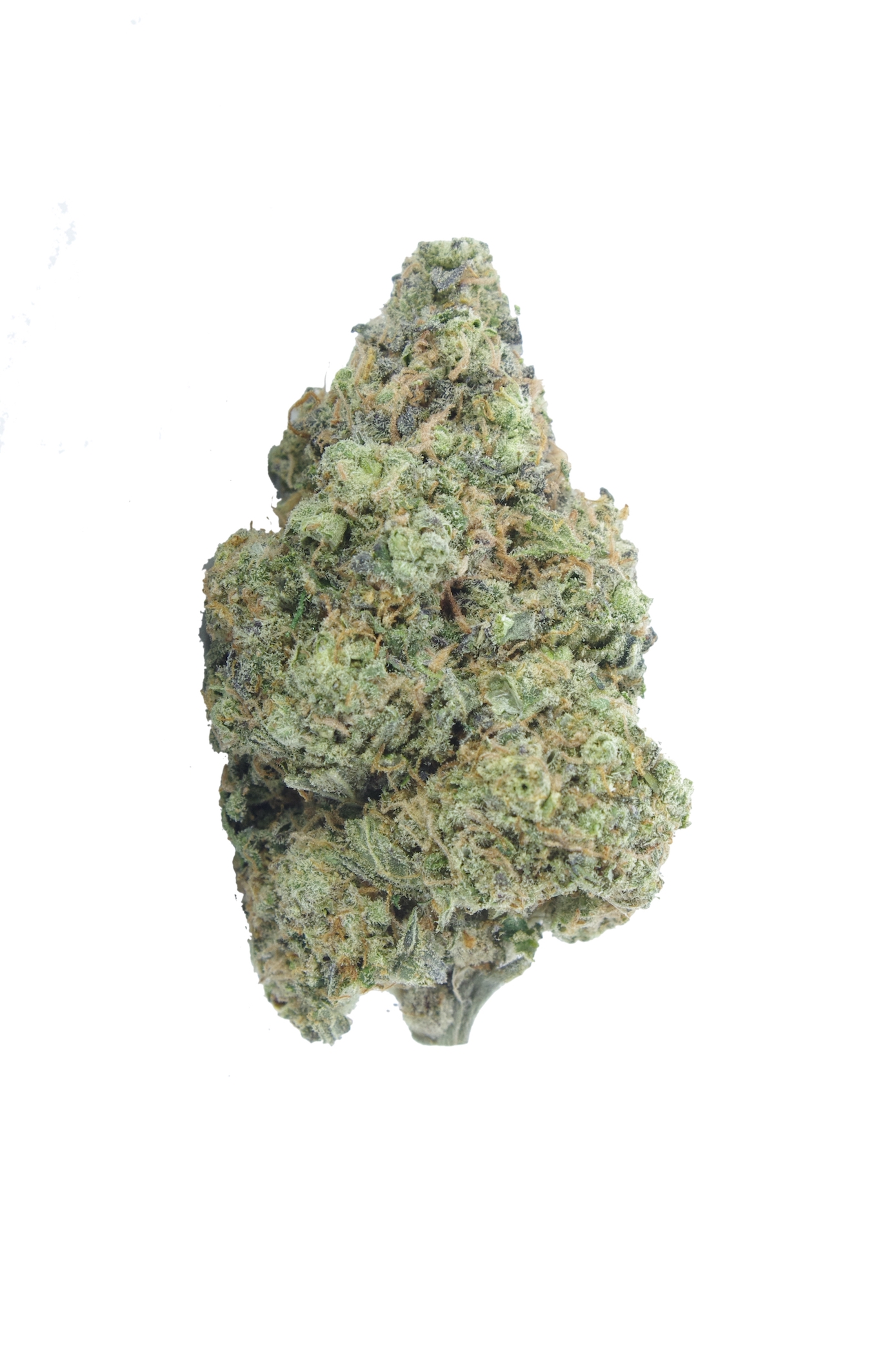 Platinum OG (Oz Special) Indica anti-anxiety Platinum OG (Oz Special) Indica anti-anxiety