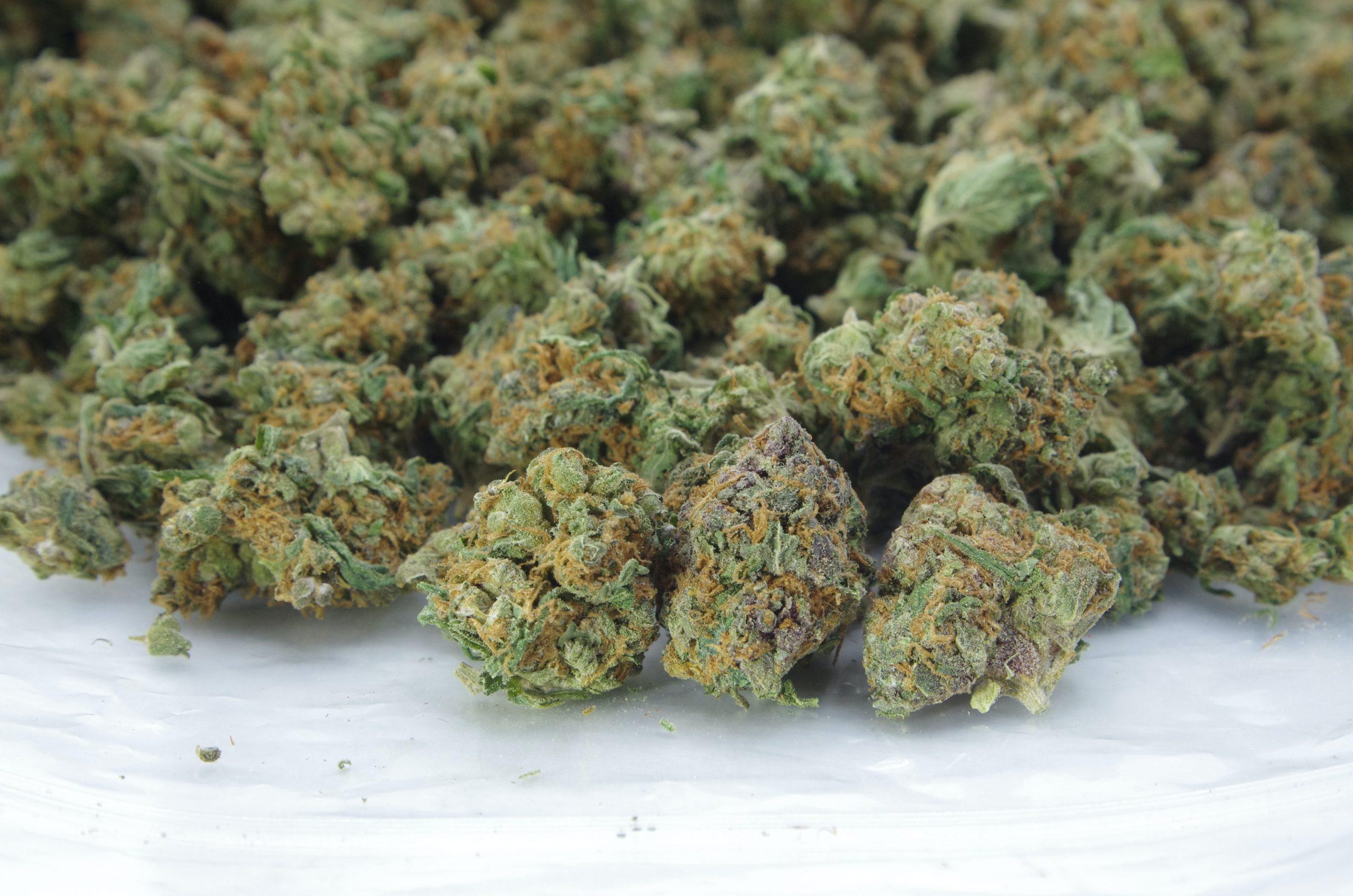Blue Haze Smalls (Oz Special) All Strains anti-anxiety Blue Haze Smalls (Oz Special) All Strains anti-anxiety