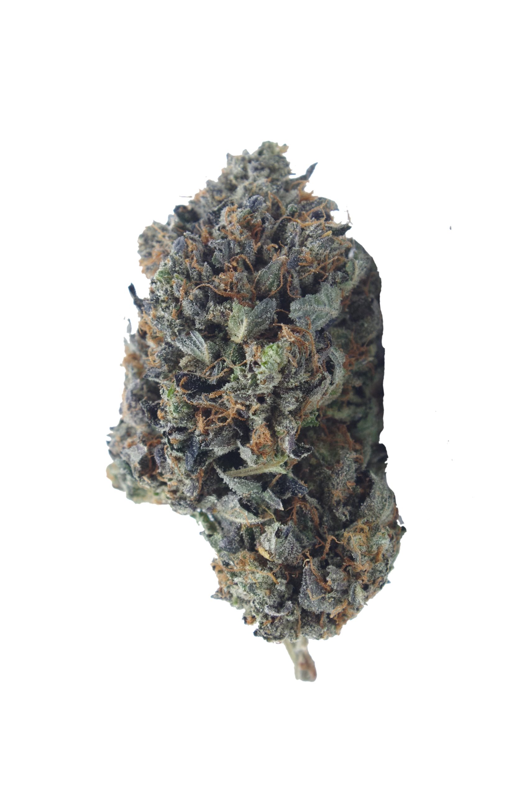Comatose OG (Oz Special) All Strains anti-anxiety Comatose OG (Oz Special) All Strains anti-anxiety