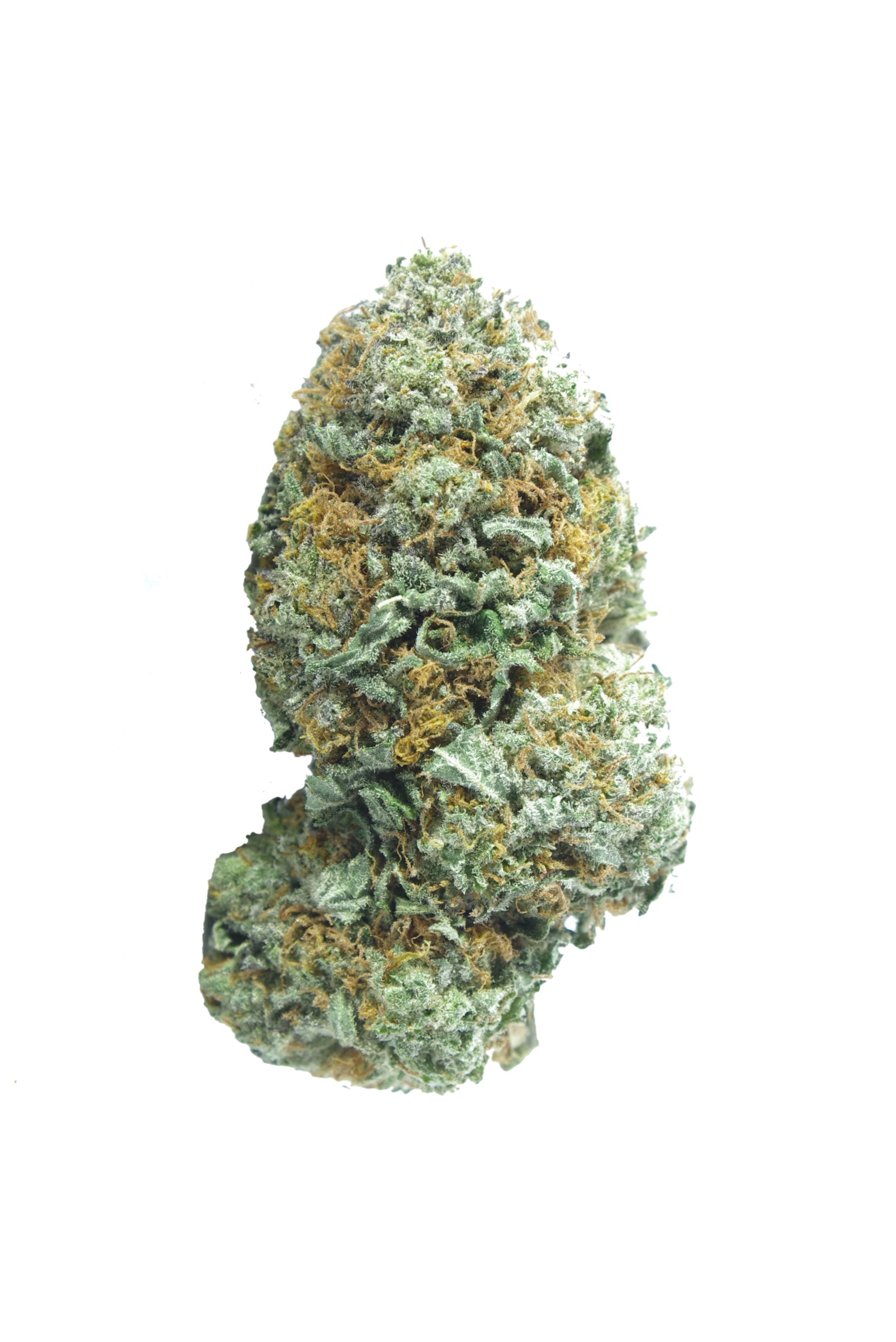 Black Rose (Oz Special) Indica anti-anxiety Black Rose (Oz Special) Indica anti-anxiety