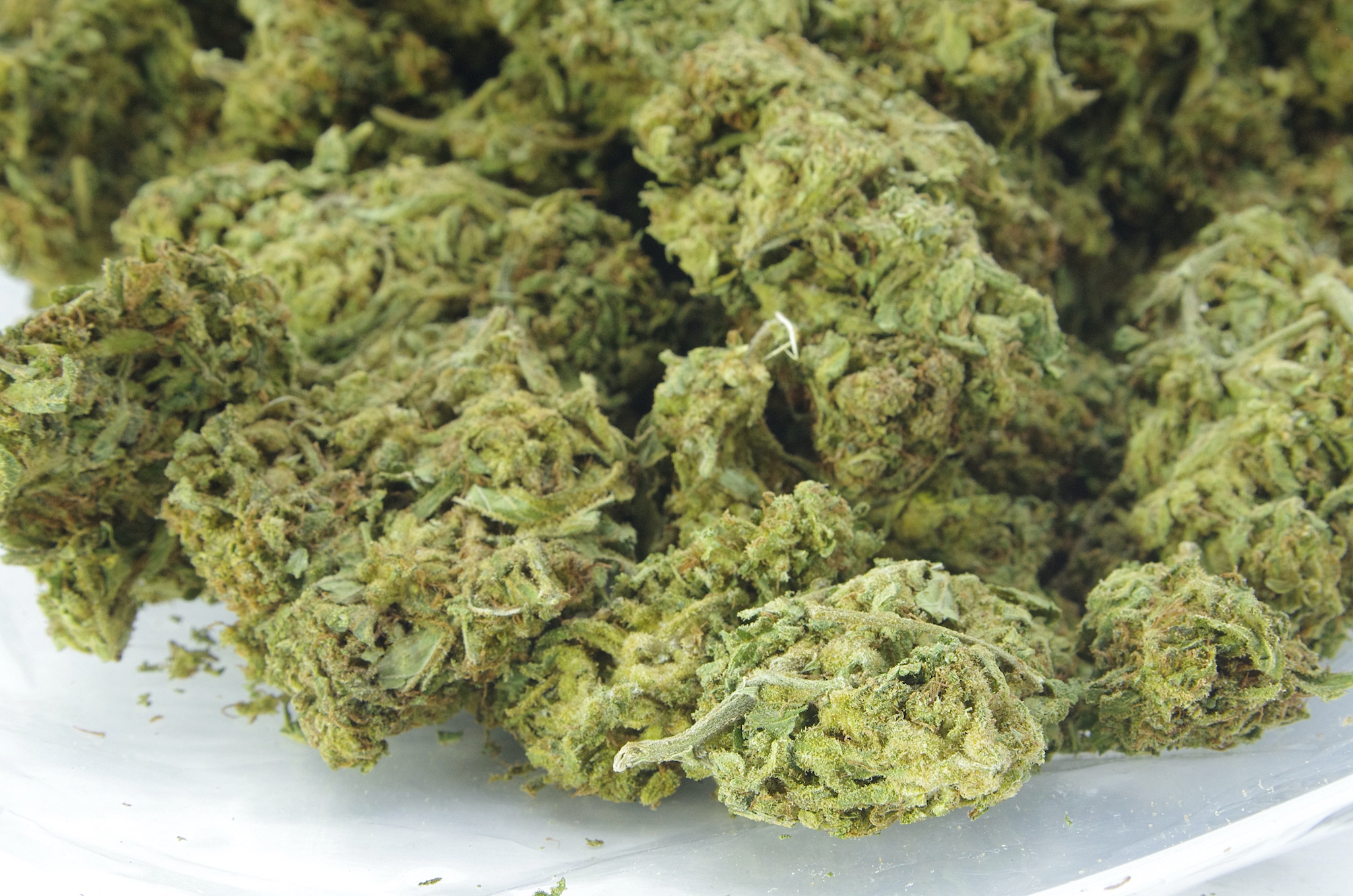 Blueberry AK (Oz Special) All Strains anti-anxiety Blueberry AK (Oz Special) All Strains anti-anxiety